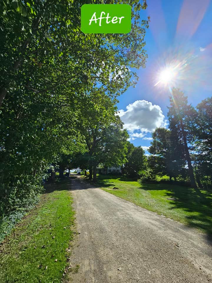  for D Hale Tree Service in Dexter, MI