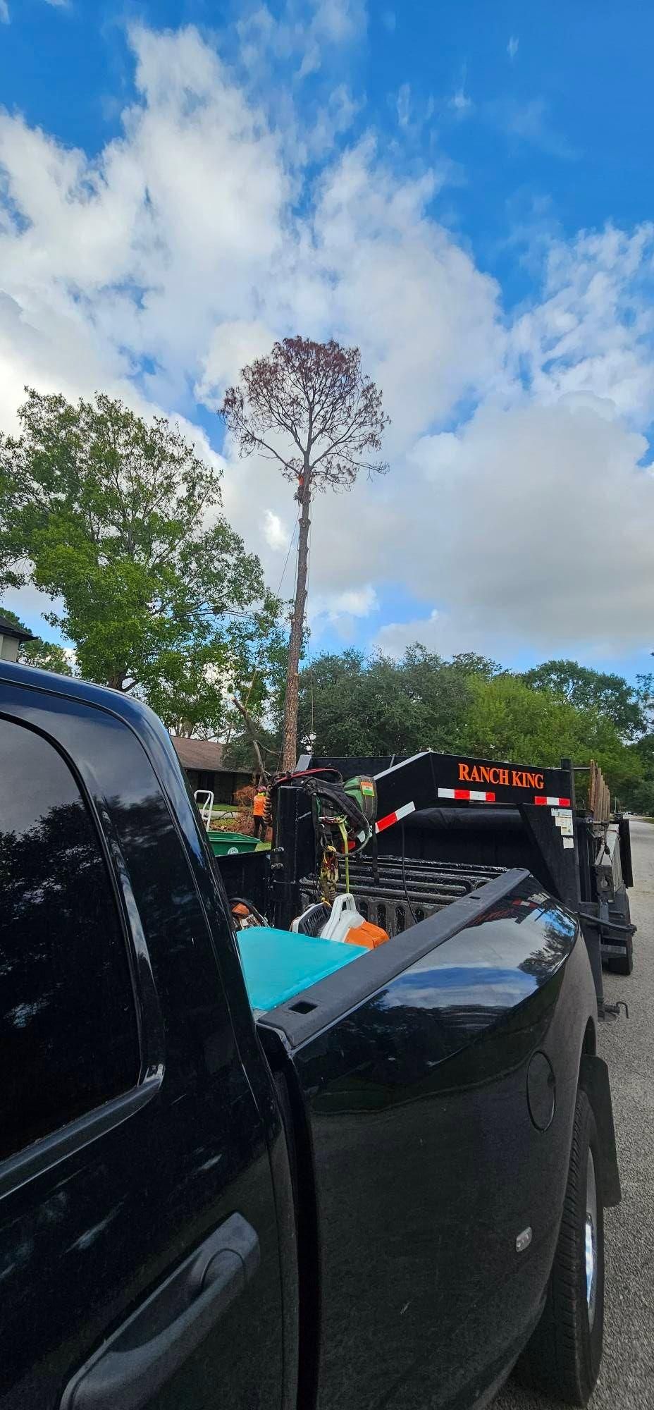  for Servin's Tree Care  in Houston, TX