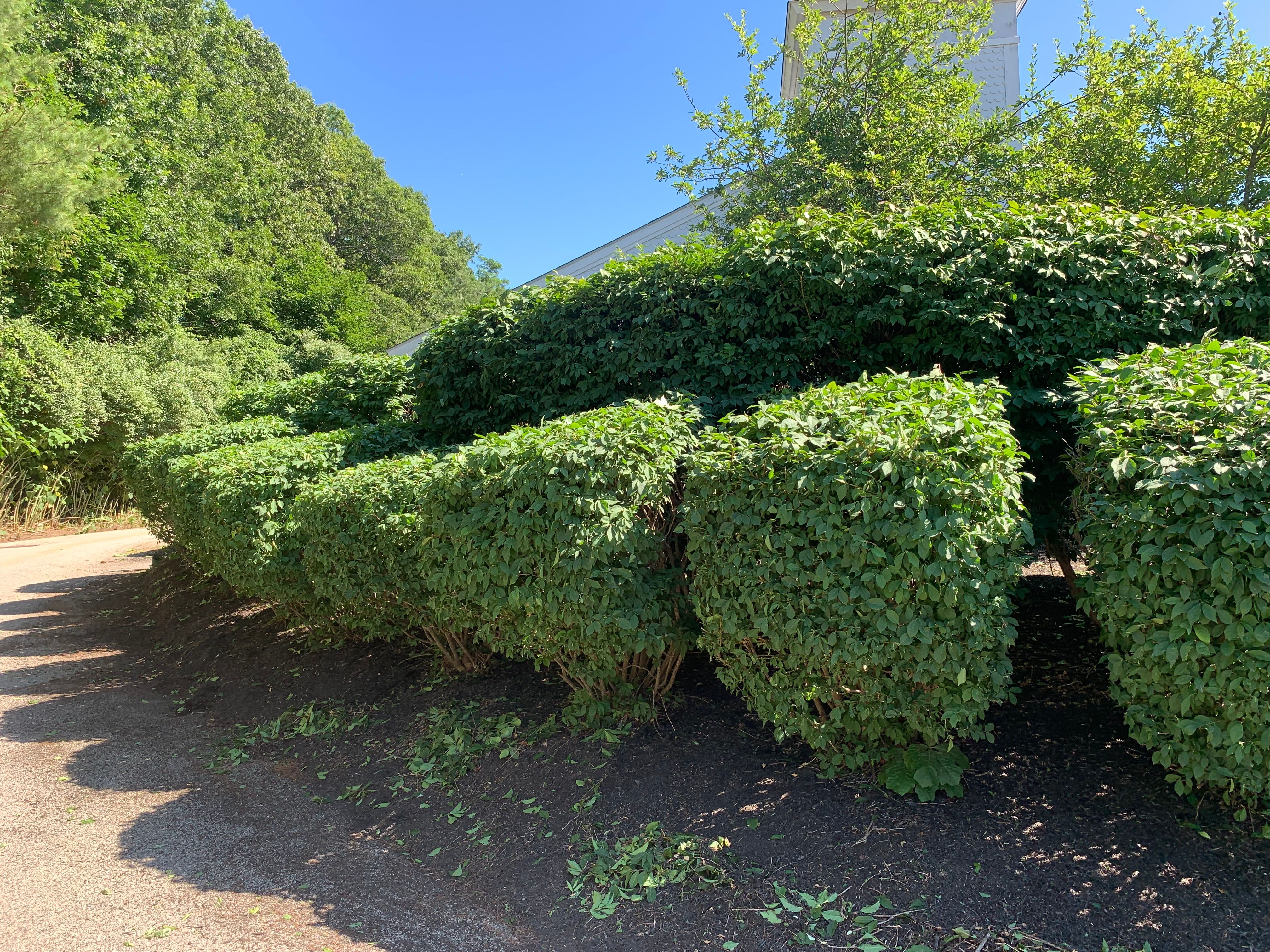  for Murray Mowing and More in Ashaway, RI