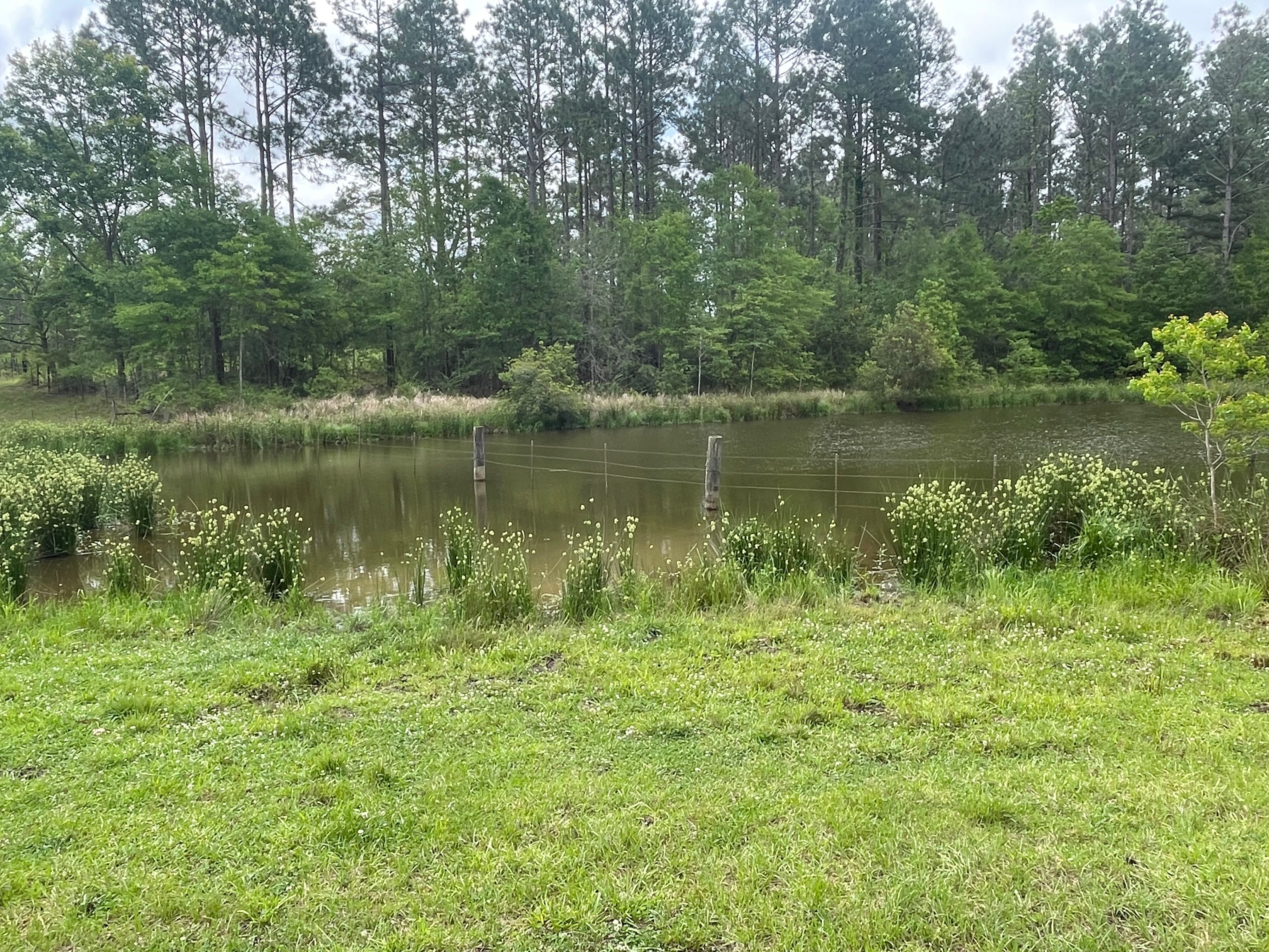  for Platinum Construction llc in Pearl River, MS