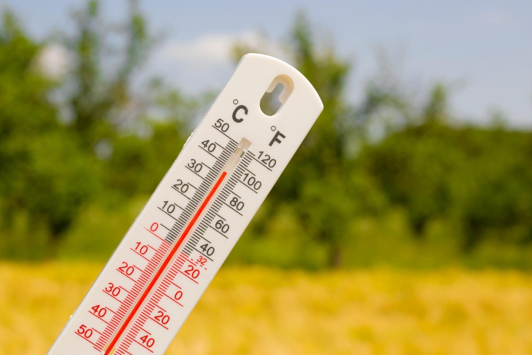 All Photos for Wantage Fence & Stonework, LLC in Wantage, New Jersey