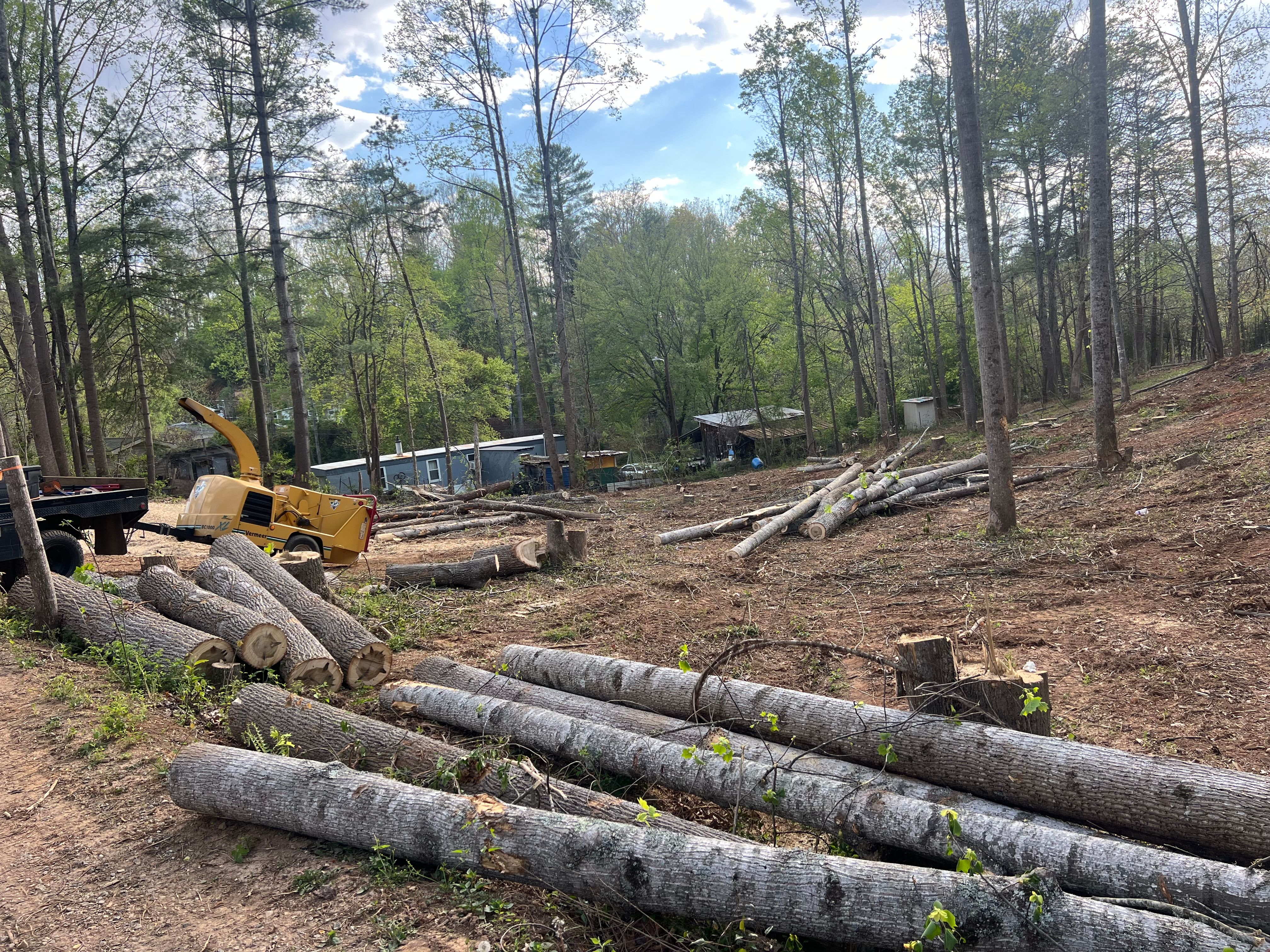  for Ground To Sky Tree Care in Asheville, North Carolina