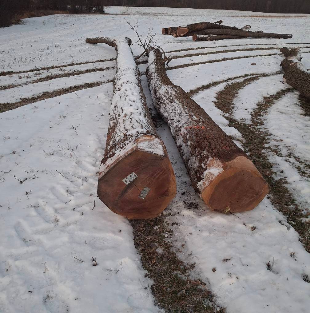  for God's Country Timber Management in Hillsdale, MI