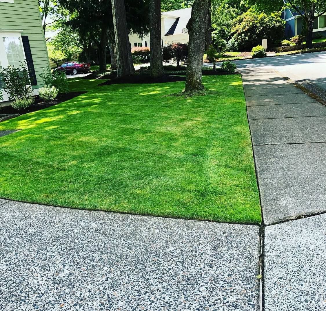 All Photos for Rs lawn Care llc in Beavertown, OR