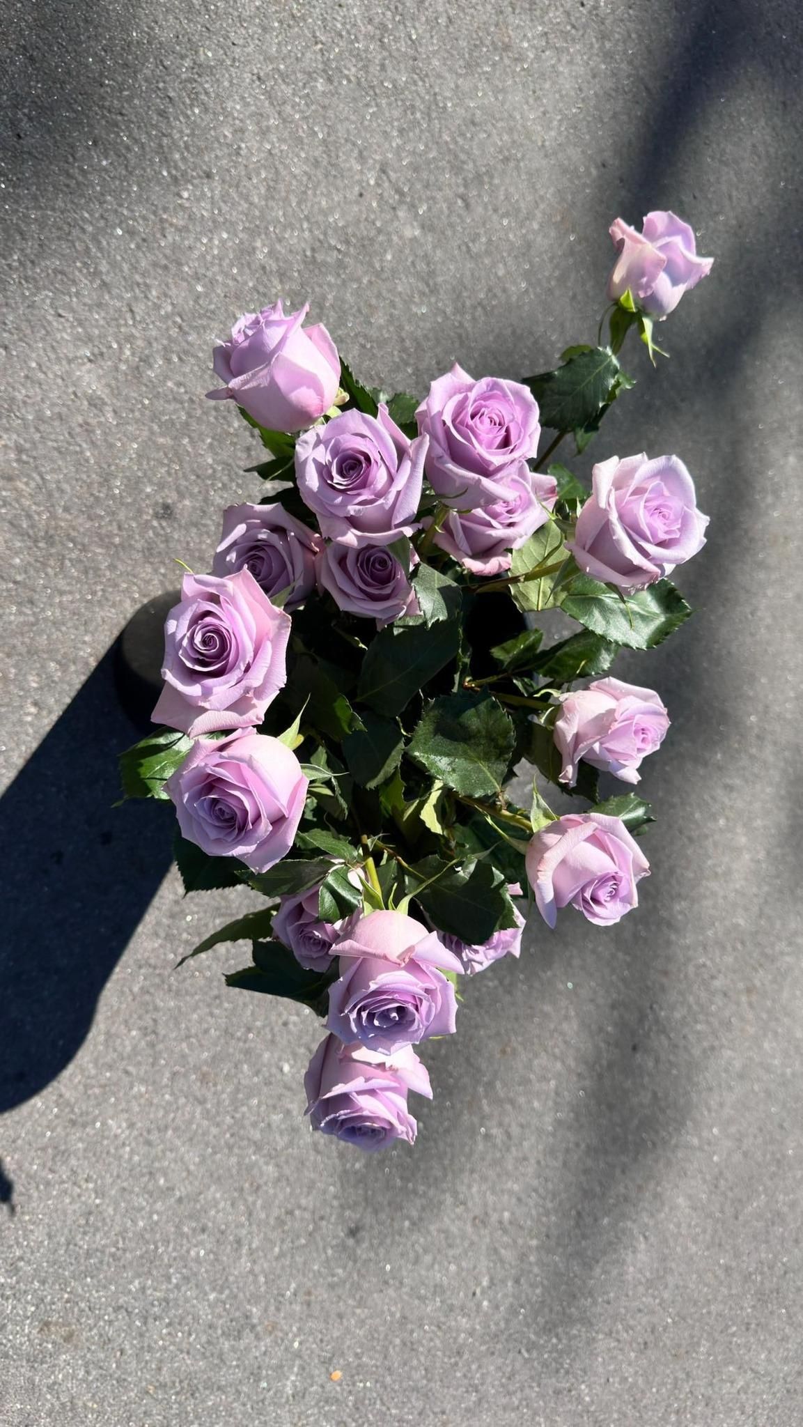  for The Dailey Daisy in Hardwick, VT