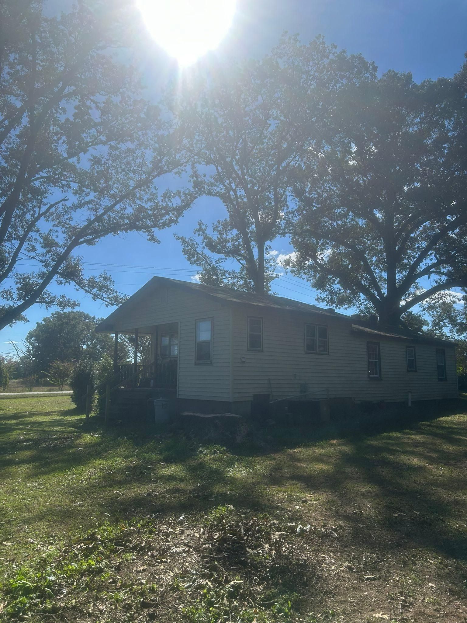  for McBee’s Tree Service in Sewanee, TN