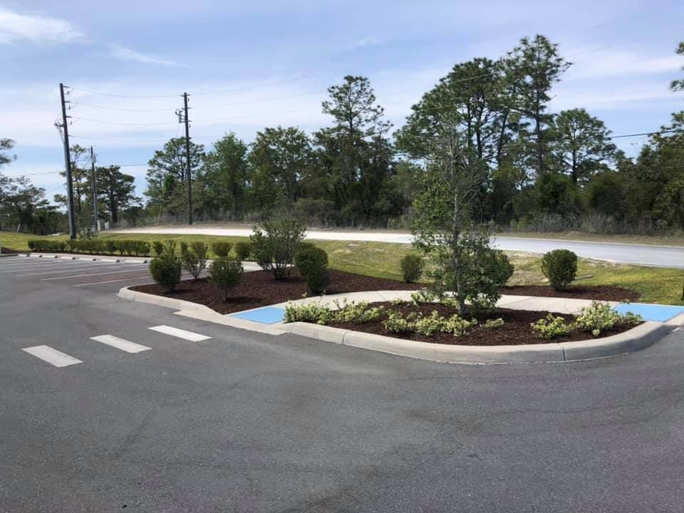  for Genesis Landscape Services in Spring Hill, FL