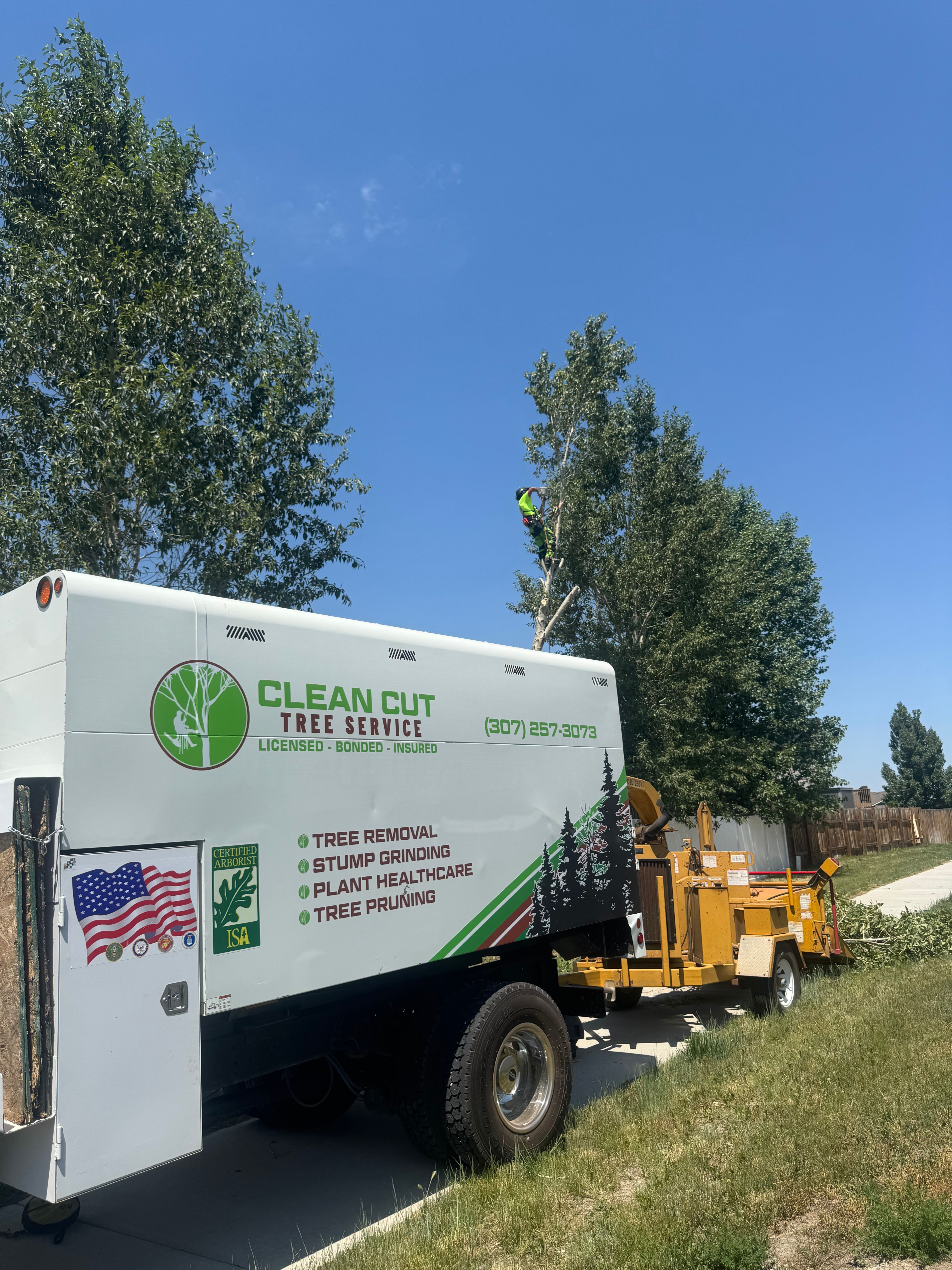  for Clean Cut Tree Service in Gillette, WY