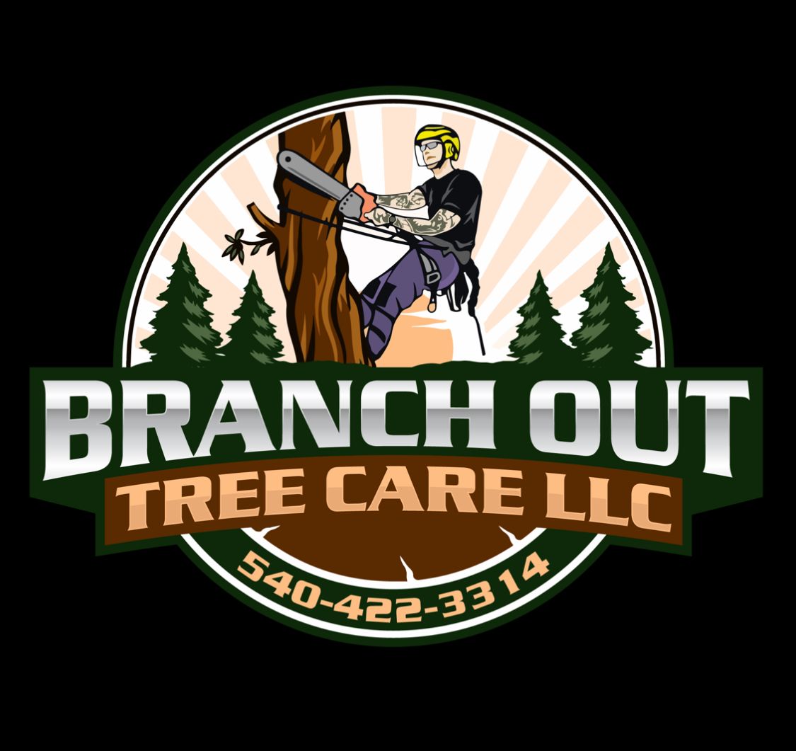  for Branch Out Tree Care LLC in Fredericksburg, VA