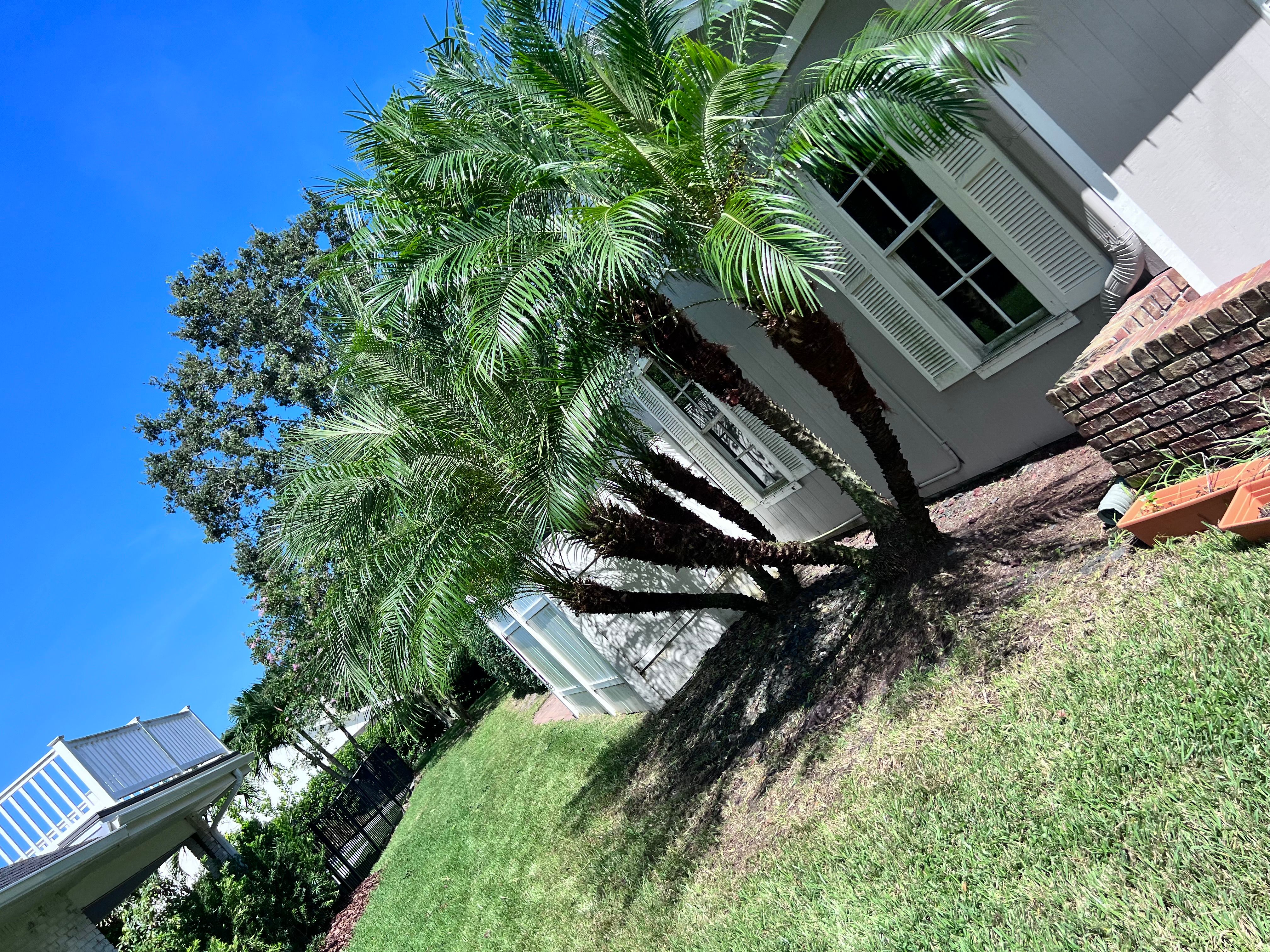  for Space Coast Property Maintenance and Management LLC in Melbourne, FL