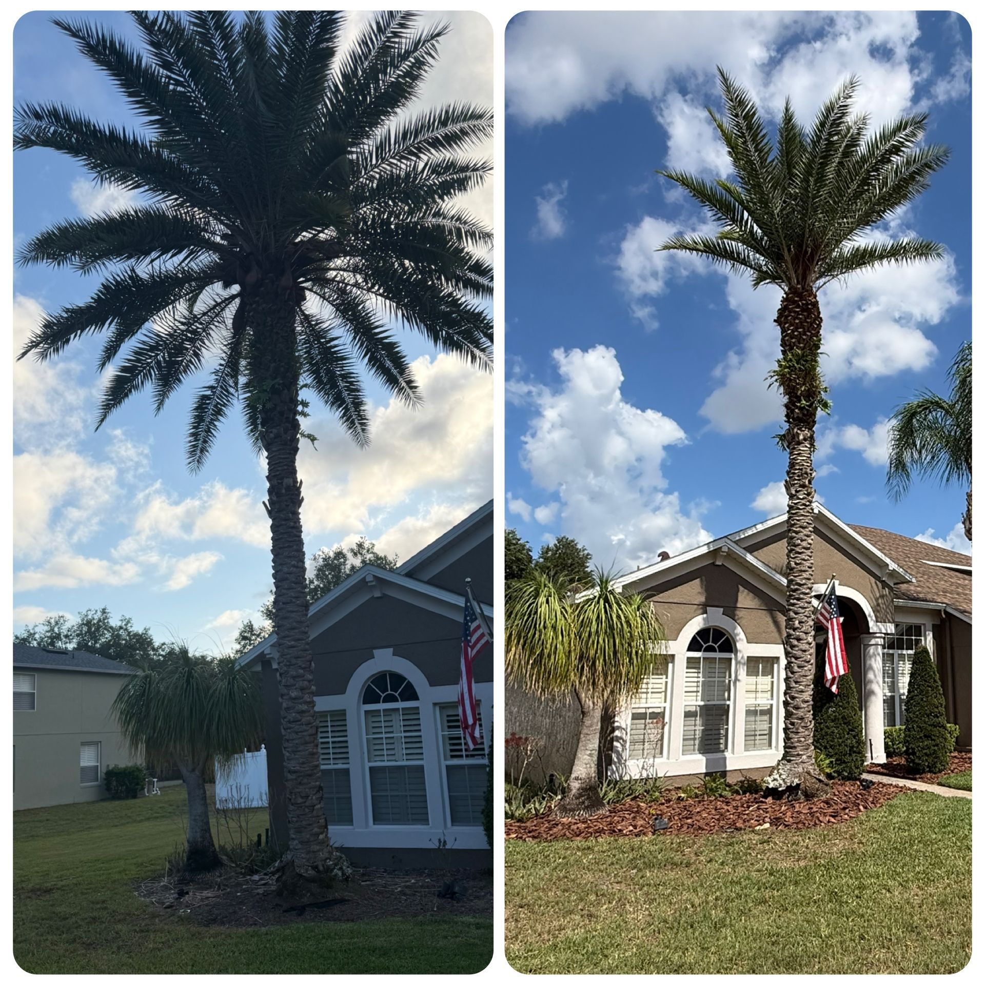  for Amerigrown Tree And Lawn in Apopka, FL