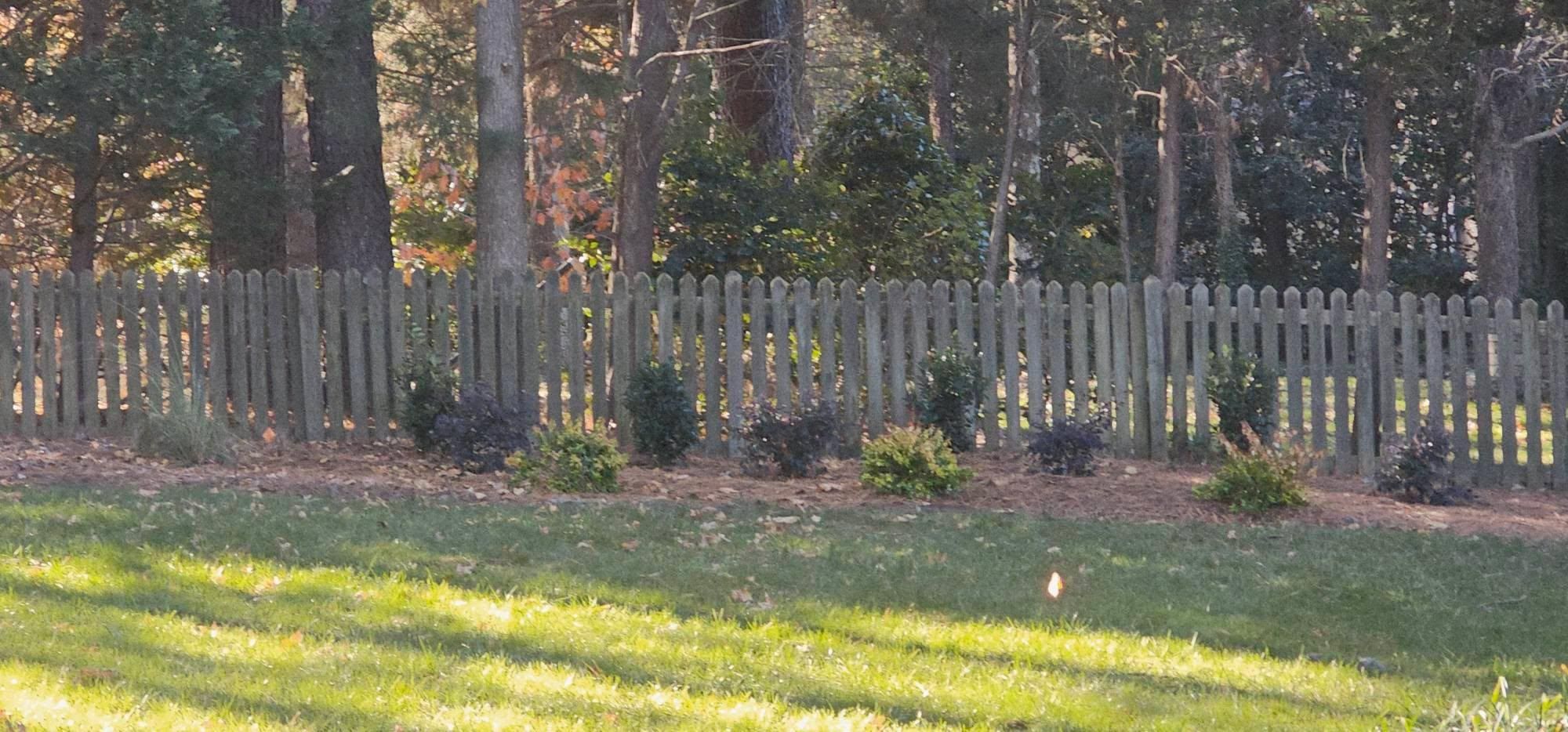  for The Grand Design in Raleigh, NC
