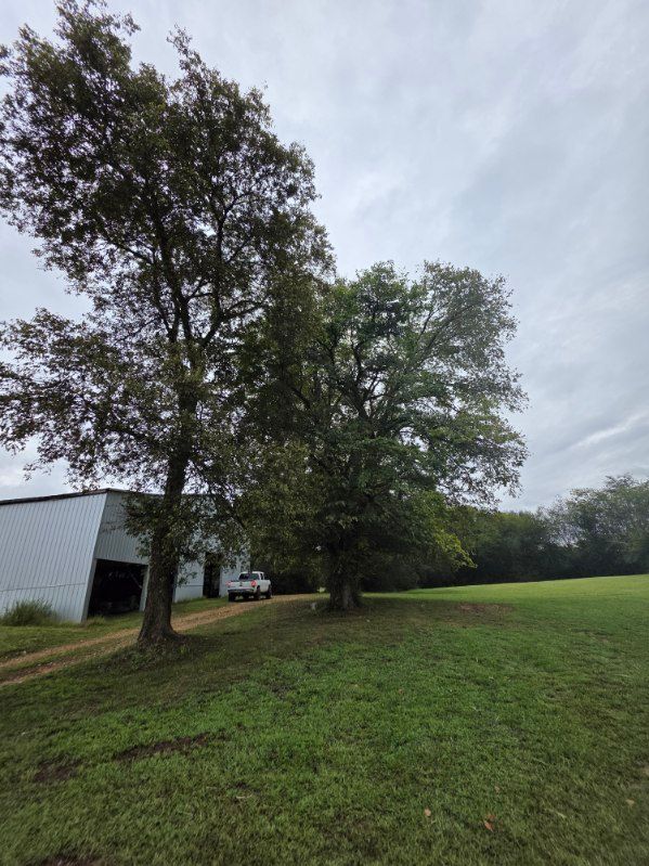  for Jace’s Tree & Stump Removal in Franklin, TN