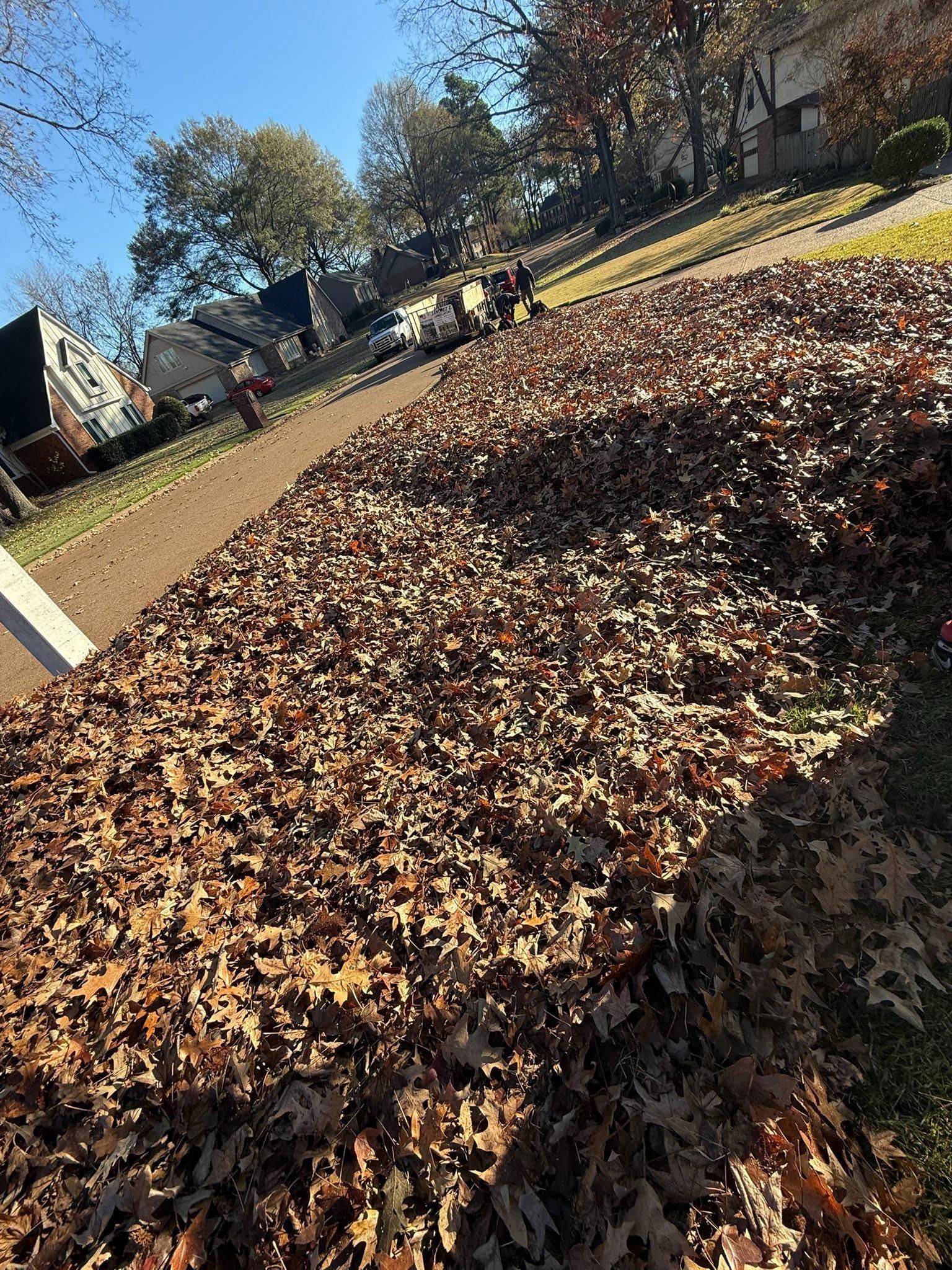  for Sanchez Z. Landscaping in Memphis, TN