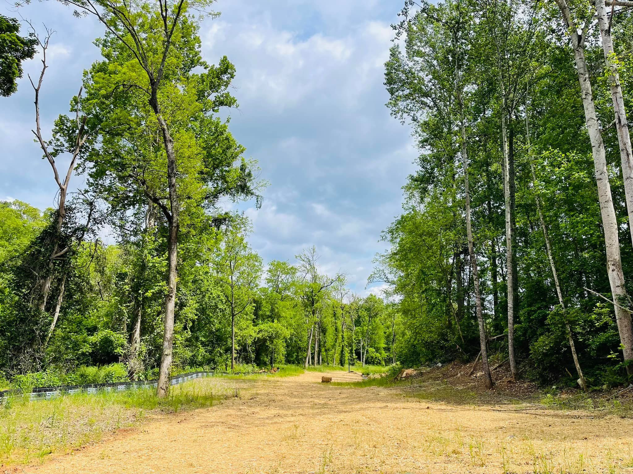 for Mountain Land Services LLC. in Oneida, TN