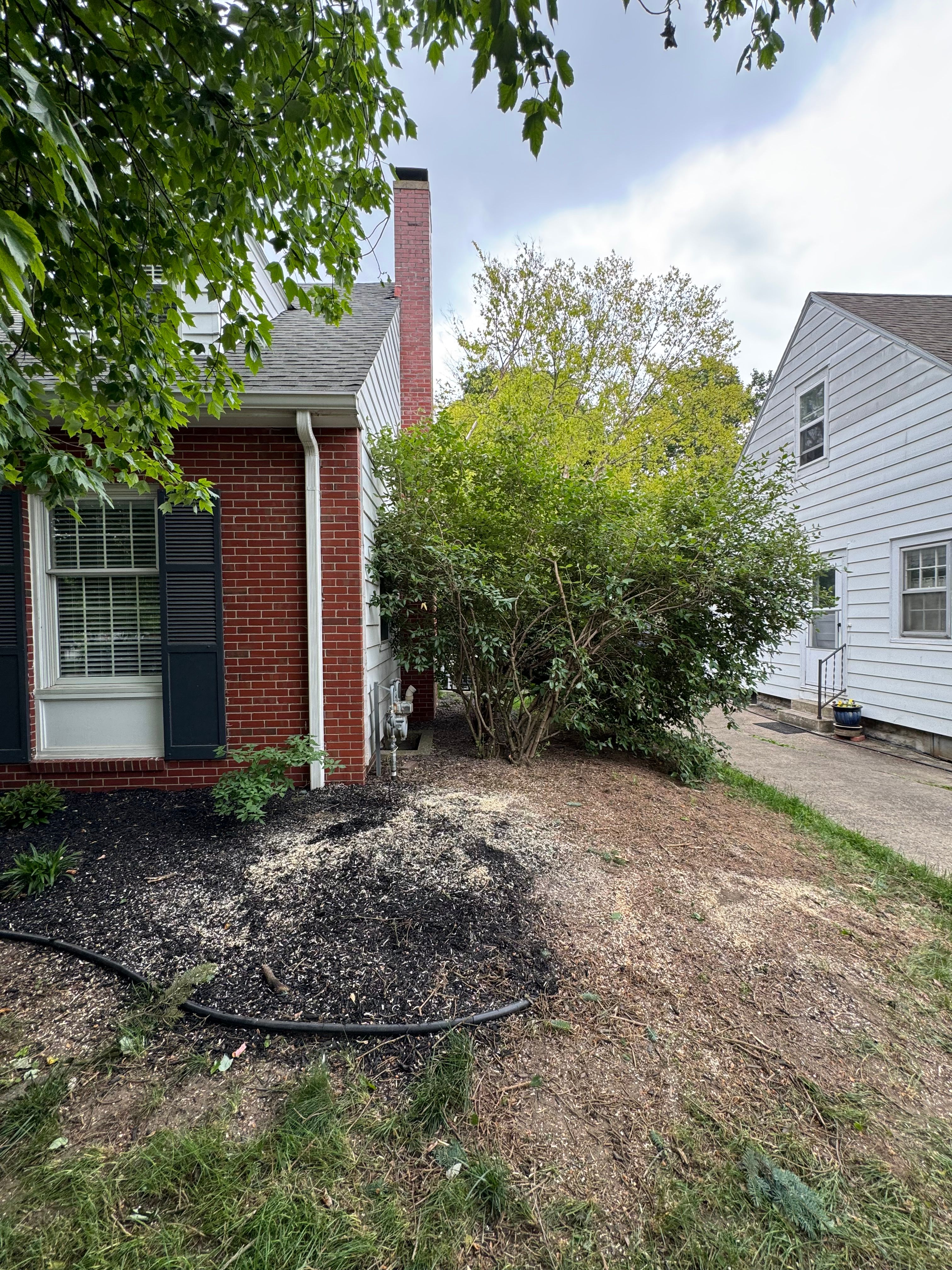 All Photos for Wininger Landscaping in New Richmond, IN