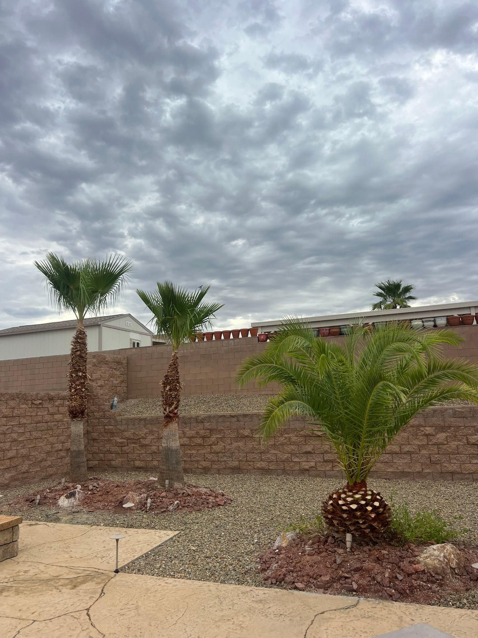  for Top Notch Landscape Services LLC in Mohave Valley, AZ