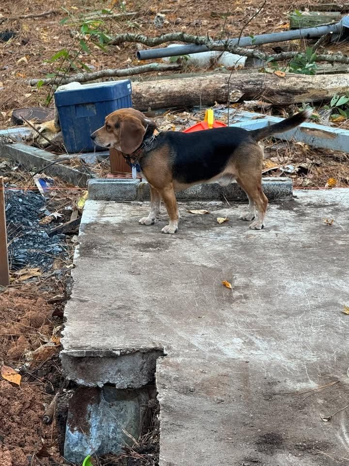  for Johnson Gutter Cleaning and Construction  in Southern Pines, NC