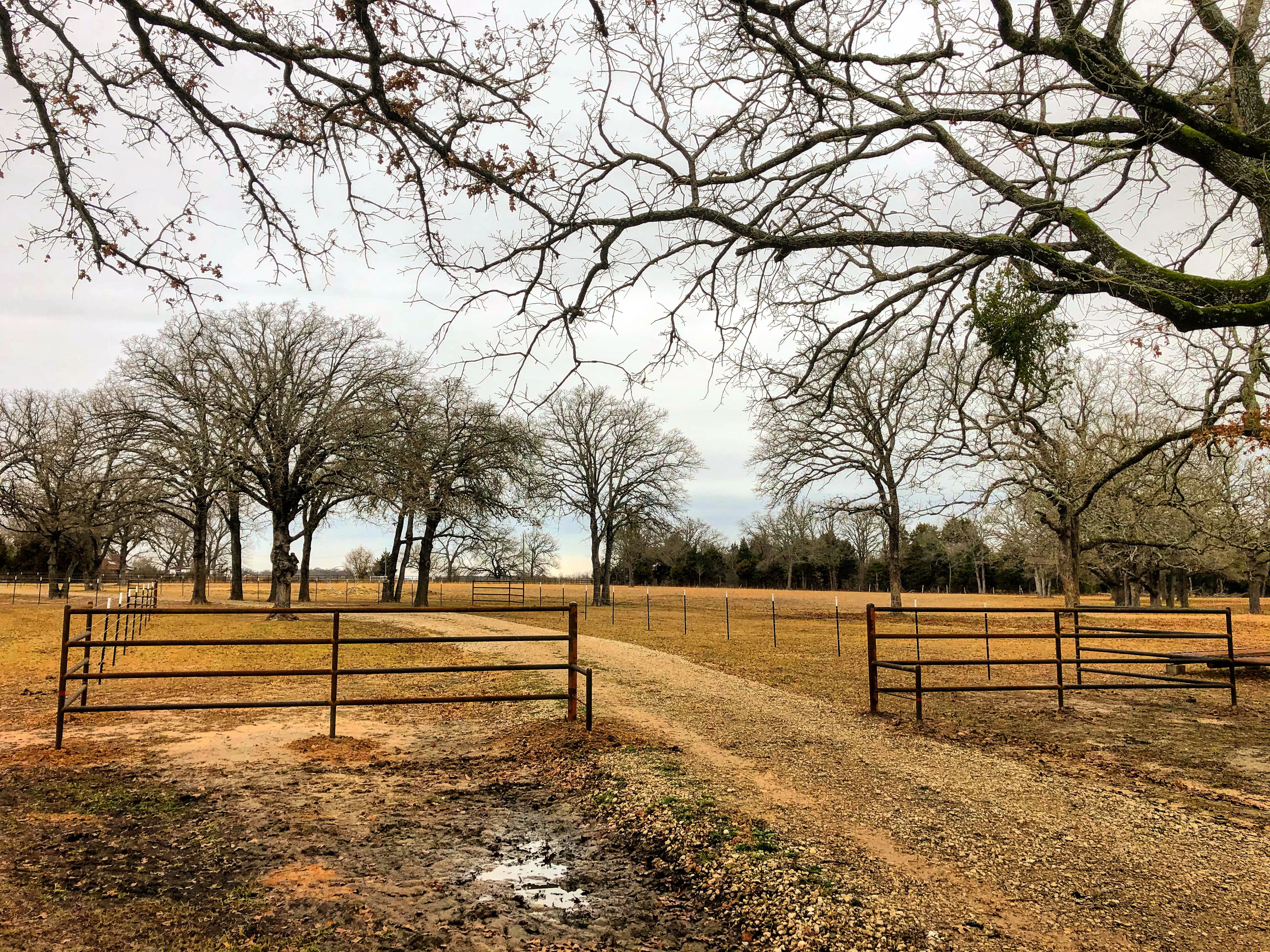  for Deans Welding ClayCee Kjeldgaard in Malakoff, TX