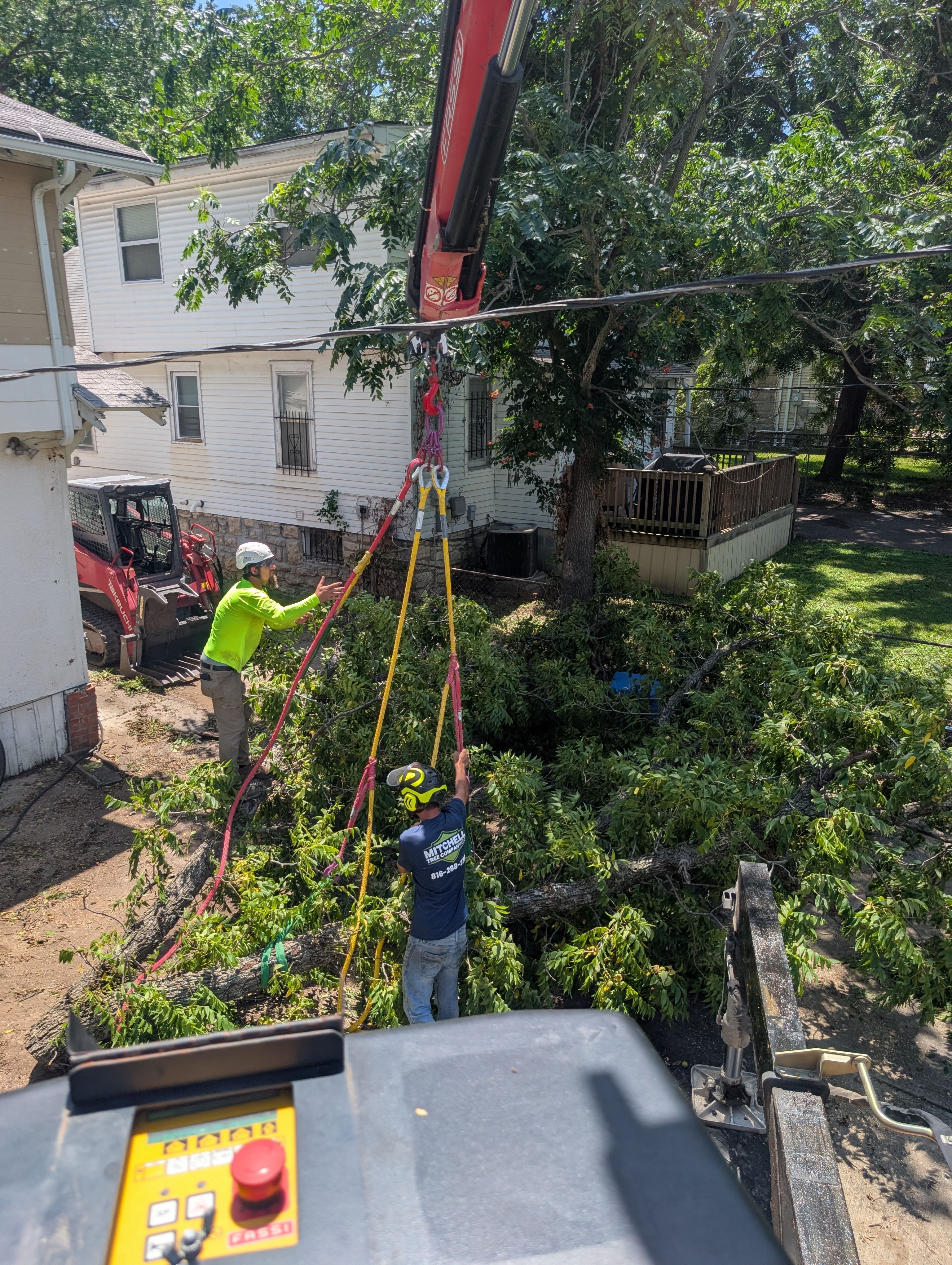  for Mitchell Tree Company in Lathrop, MO