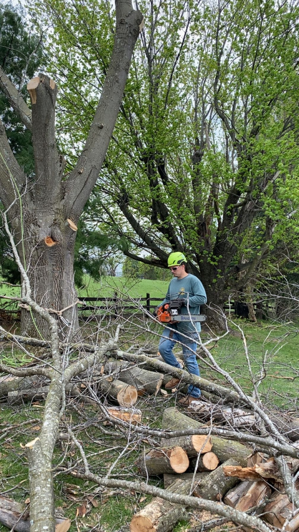 All Photos for Gray's Tree Service  in Shenandoah County, VA