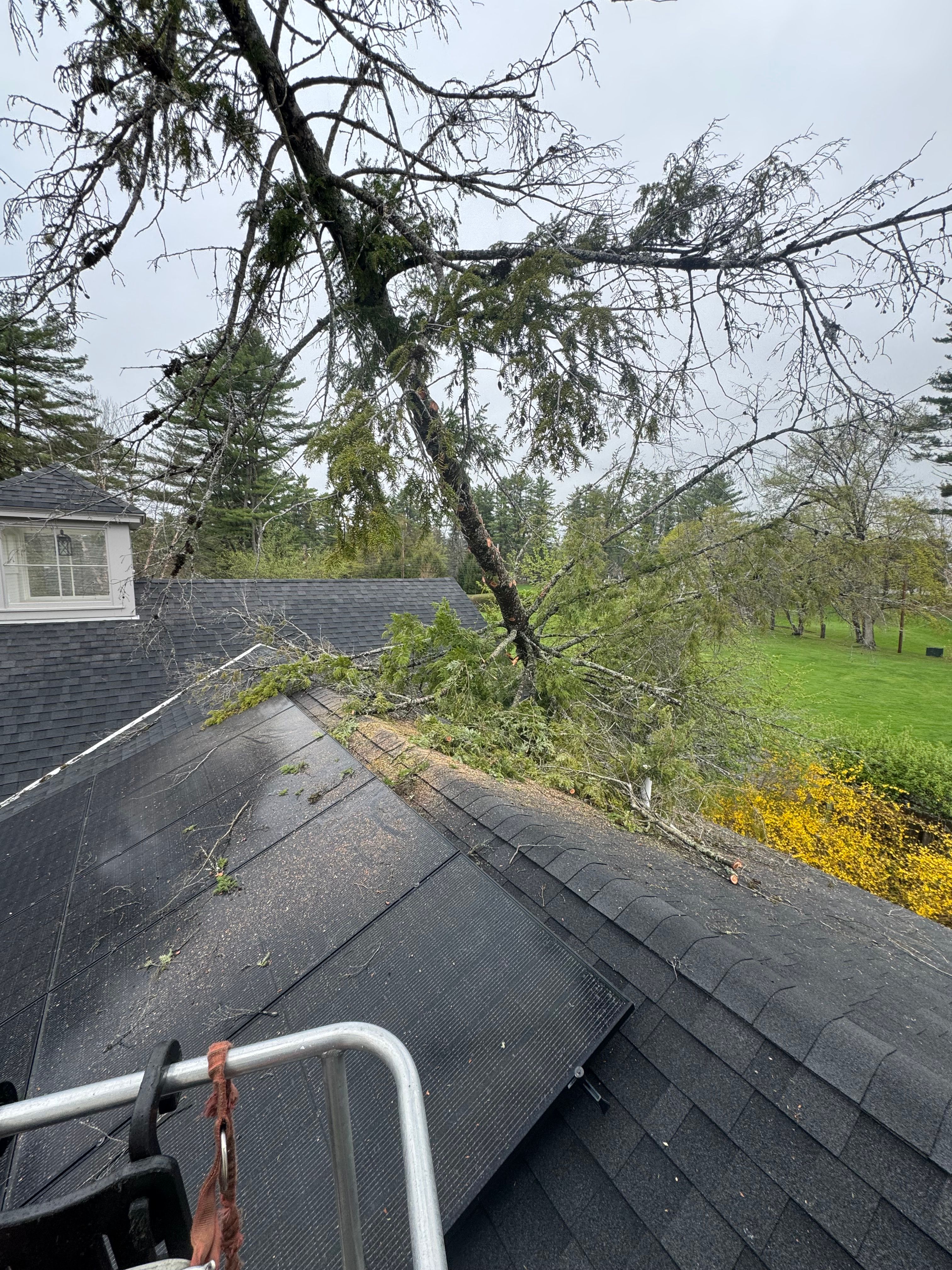 All Photos for Clifford’s Quality Tree Care & Landscaping in Enfield, NH