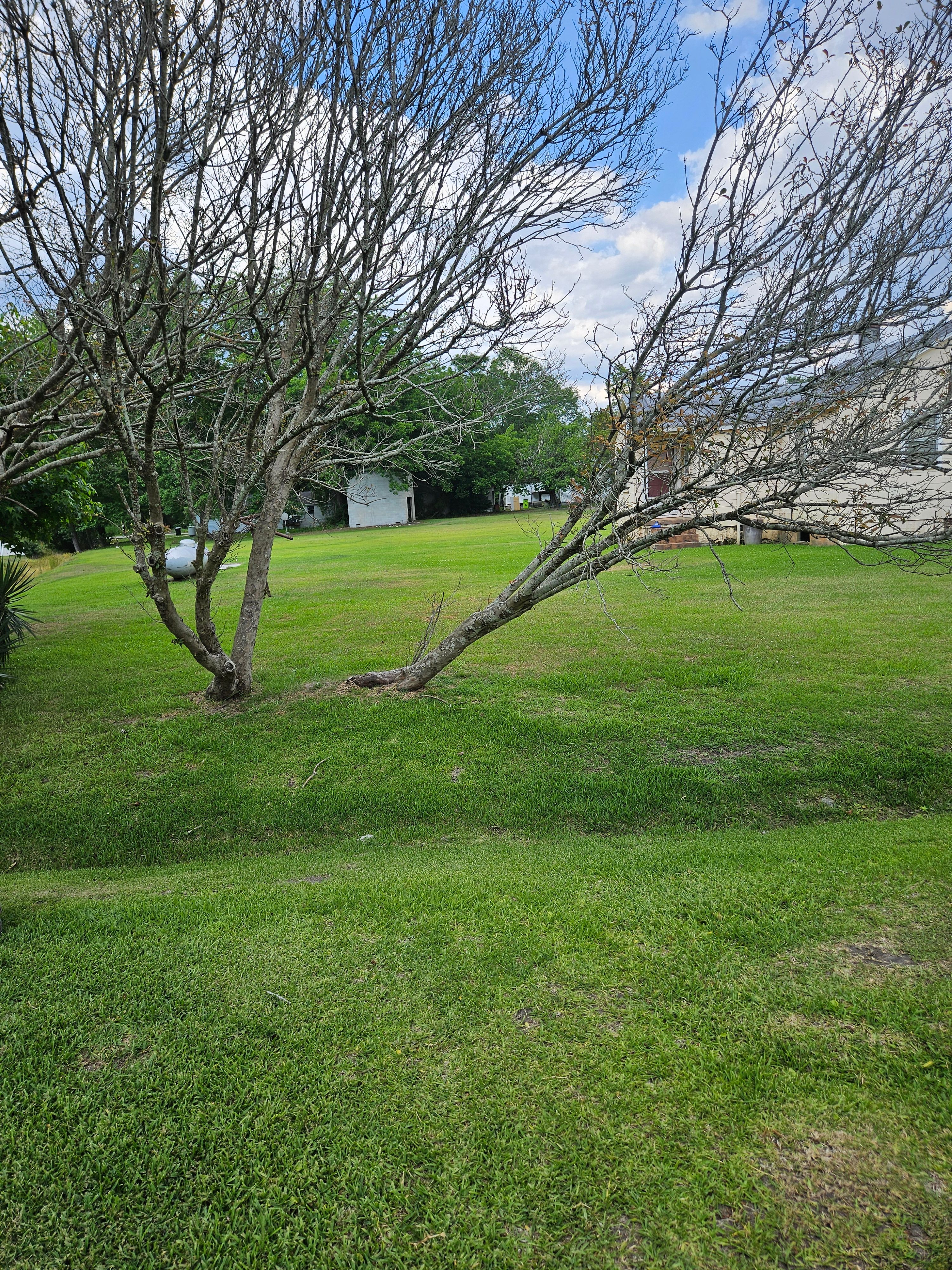  for Just Mow and Go Lawn Service in New Bern, NC