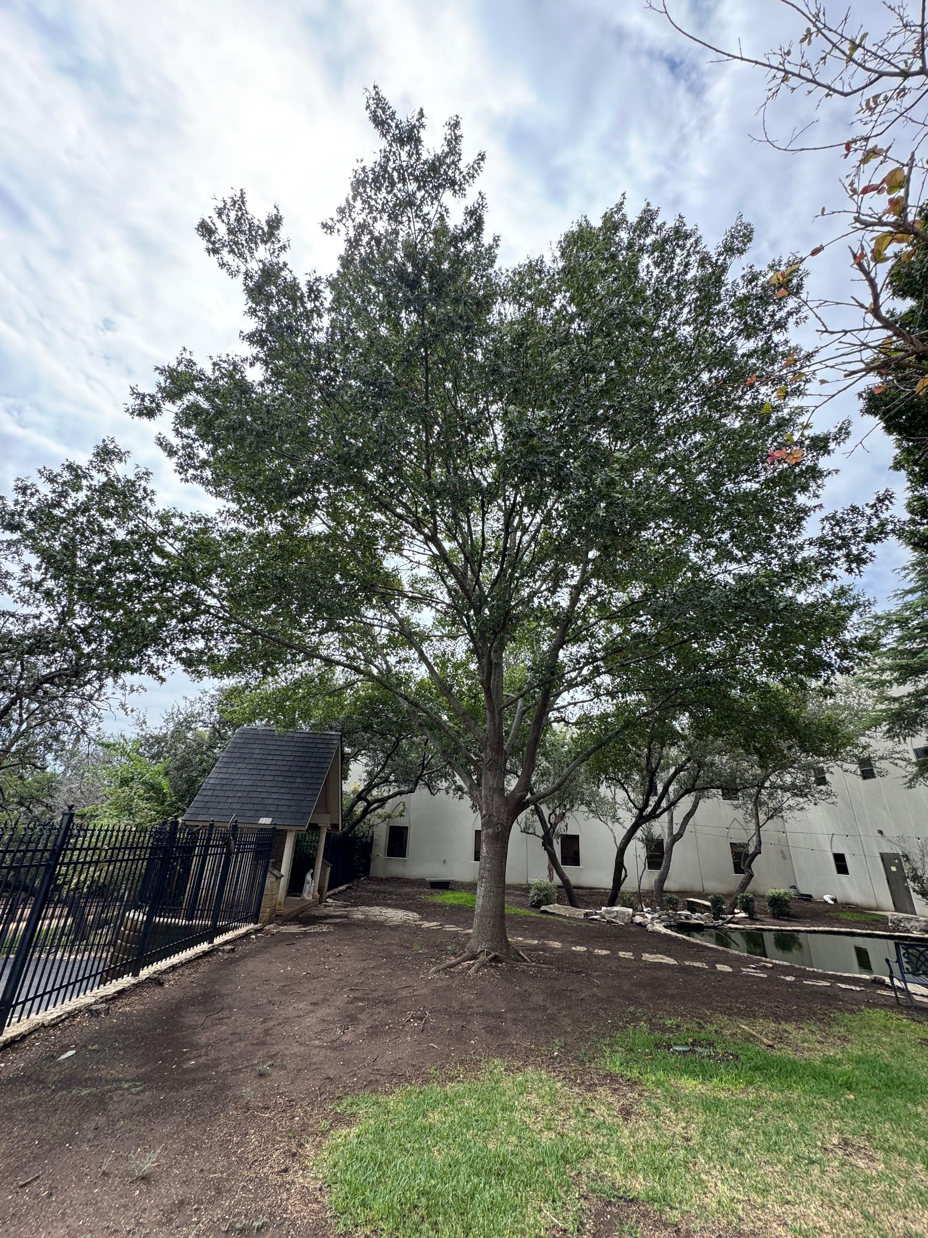  for DR Landscape in San Antonio, TX