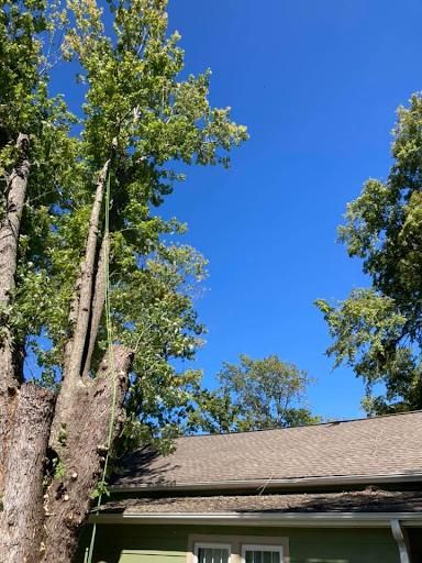  for Ground To Sky Tree Care in Asheville, North Carolina