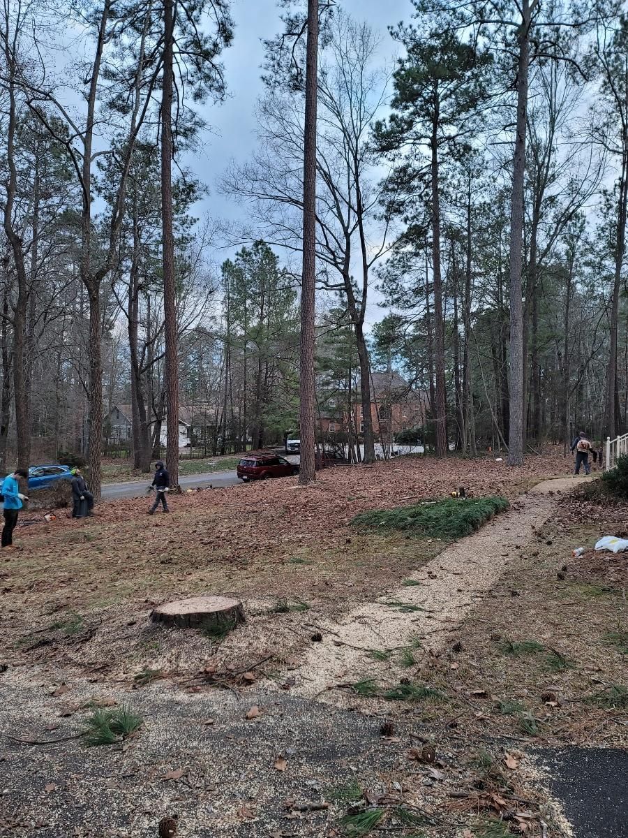  for Integrity Tree and Landscaping in Lynchburg, VA