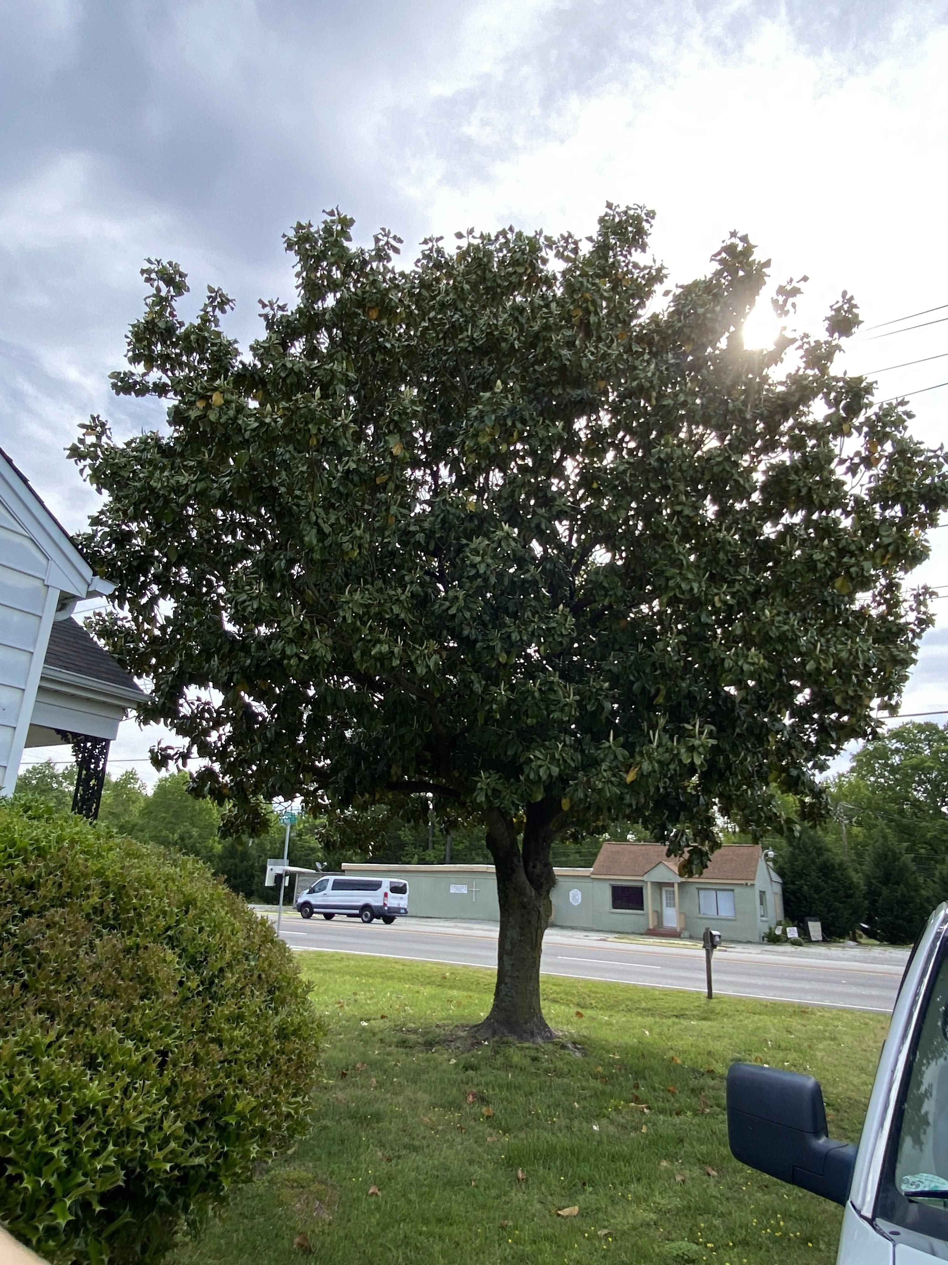  for Ascending Tree Service LLC in Kenbridge, VA