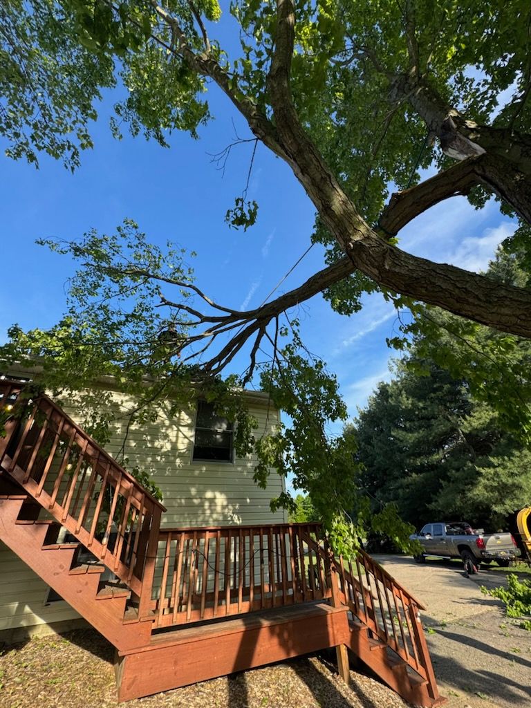  for Branching Out Tree Service in Hastings, MI
