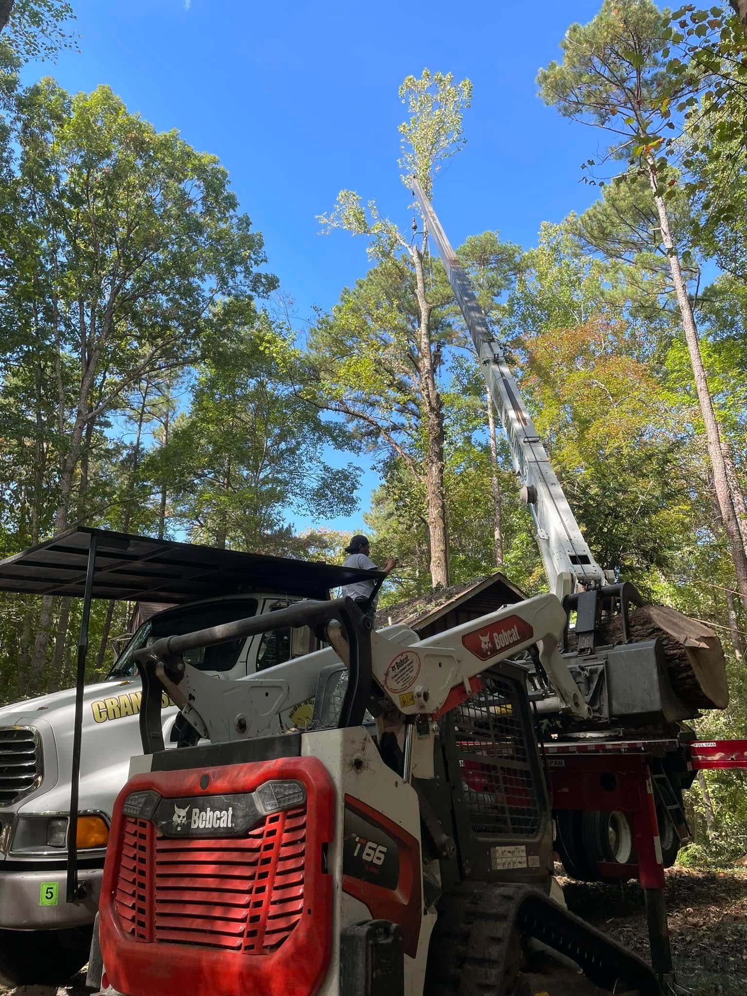  for J&J Tree Services in Raleigh, NC