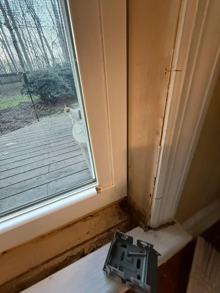  for The Handy Veteran in Athens, GA