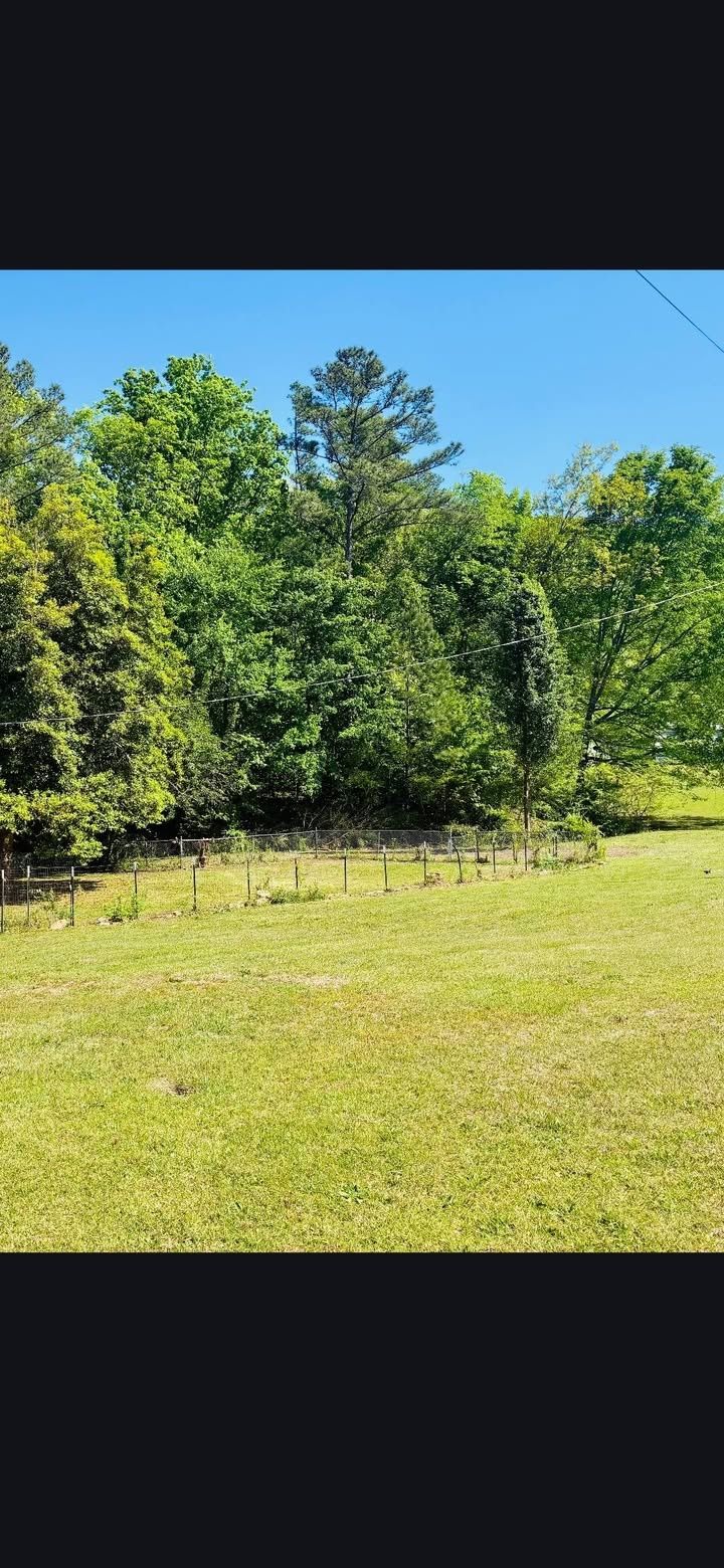  for Big C Land Management in Anniston, AL