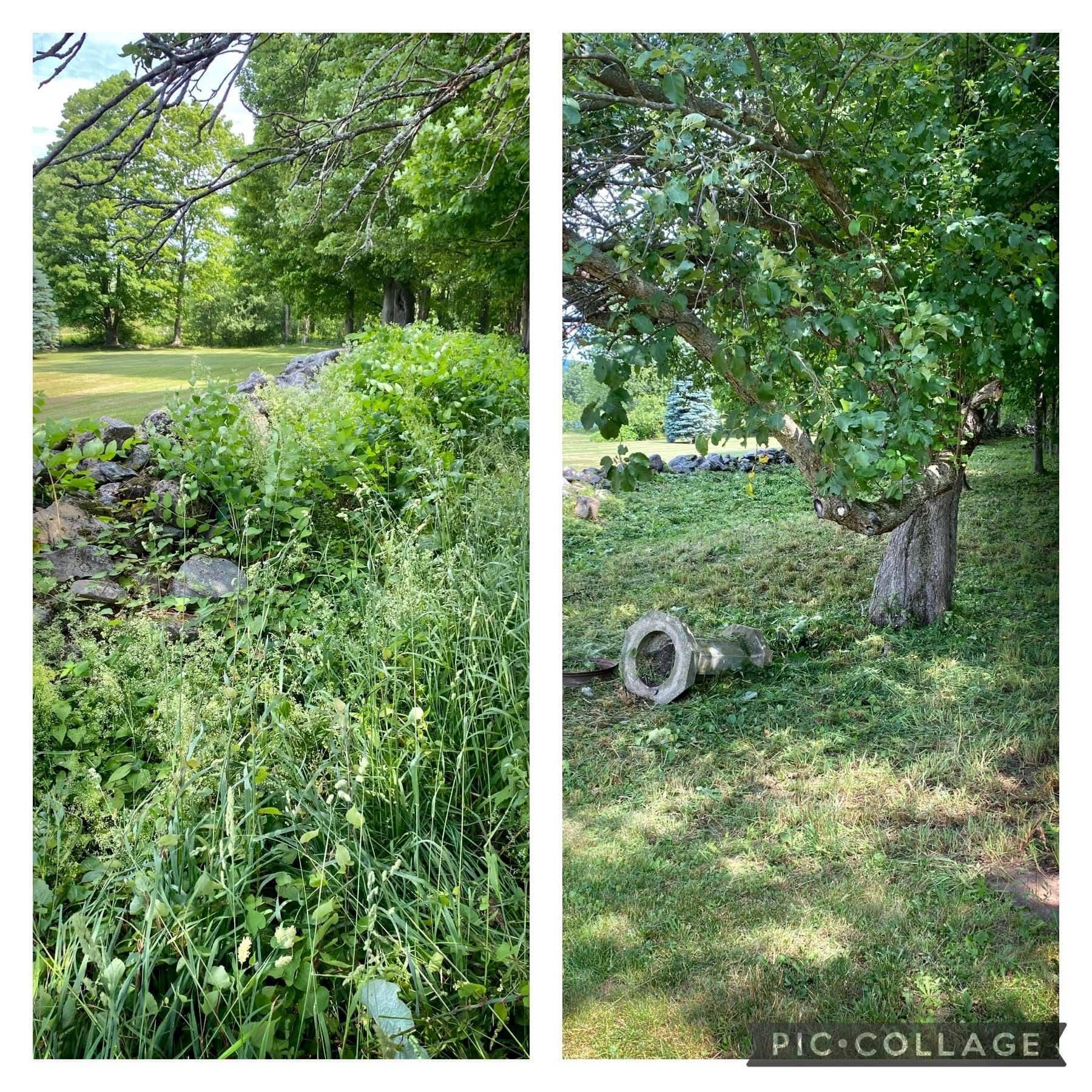 All Photos for Bishop’s Property Maintenance in Franklin, VT