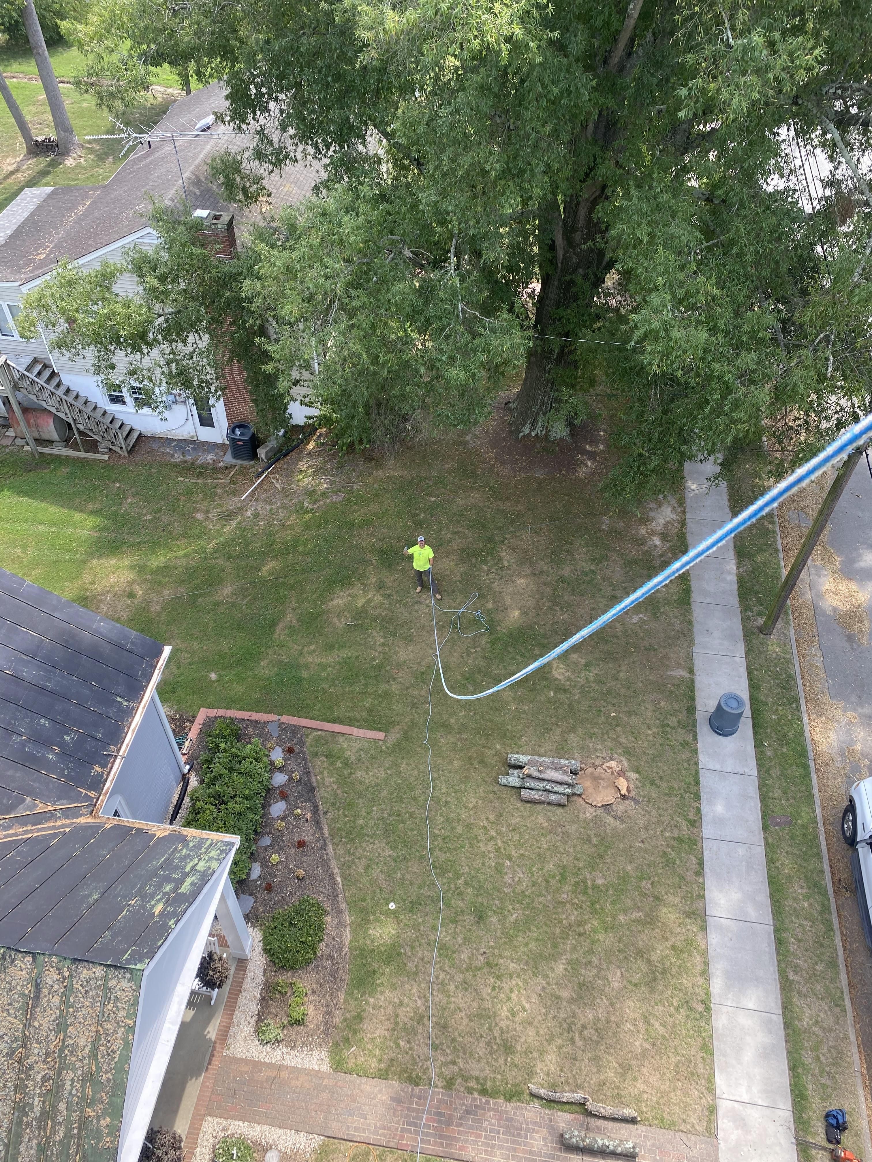  for Ascending Tree Service LLC in Kenbridge, VA