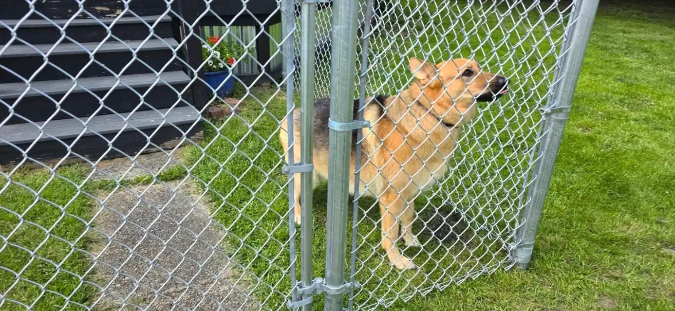 All Photos for Backyard Fence Solutions LLC in Uniontown, PA