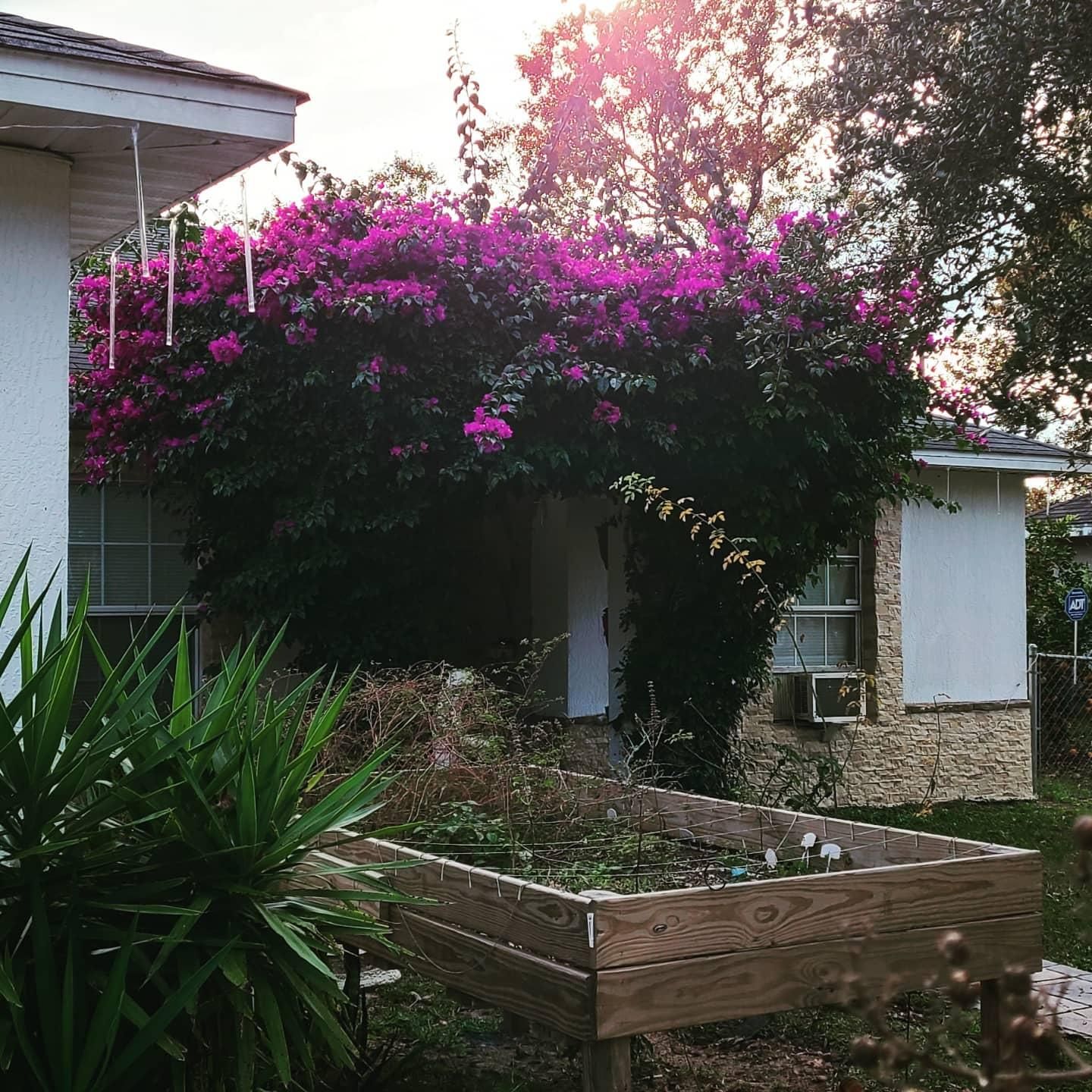  for TopNotch Landscaping Services  in The Villages, FL