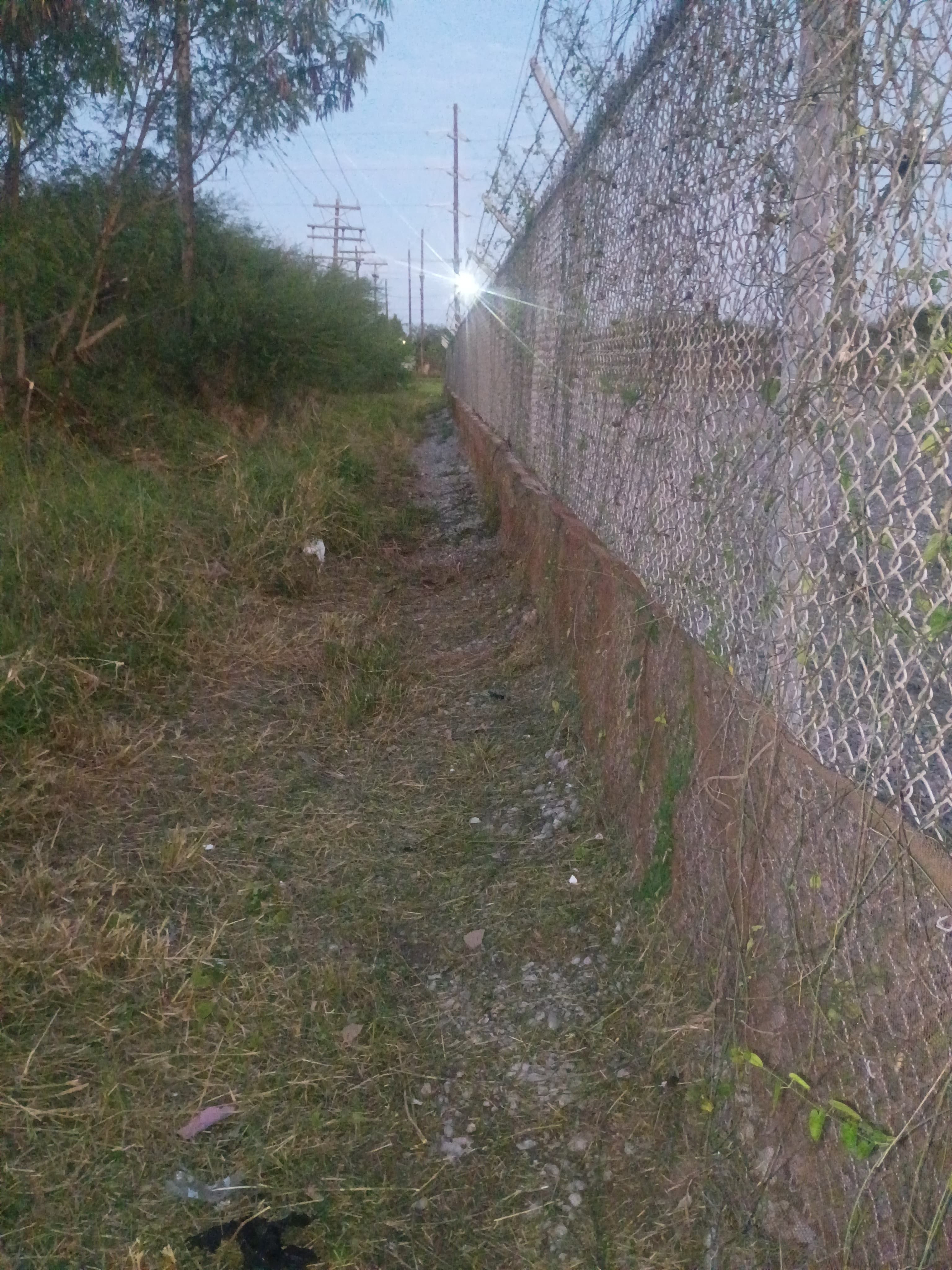  for Pro Lawn Care RGV in McAllen, TX