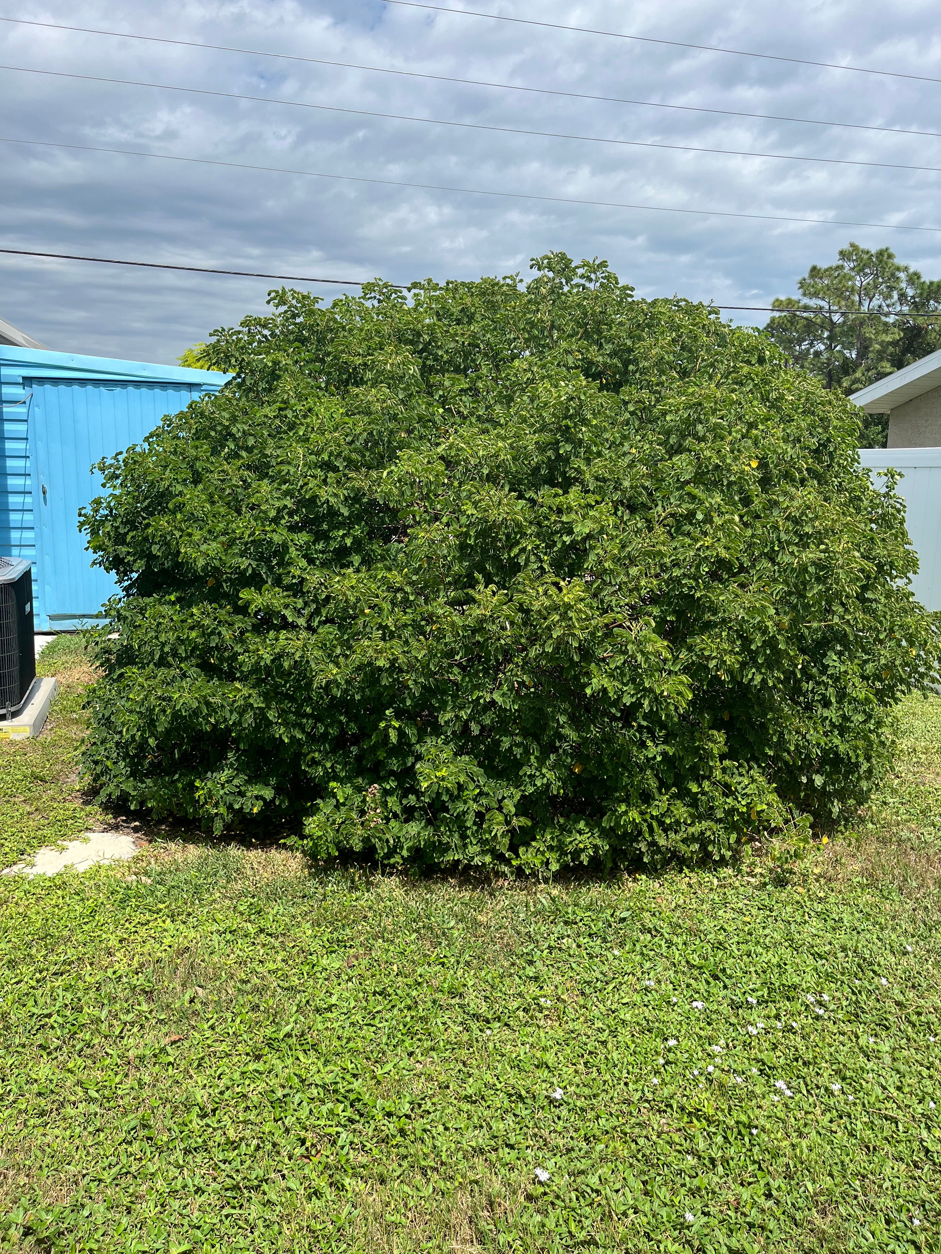  for Space Coast Property Maintenance and Management LLC in Melbourne, FL