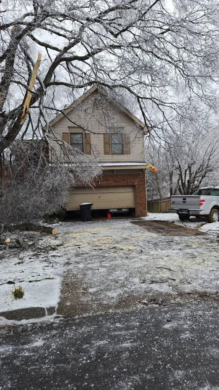  for Jace’s Tree & Stump Removal in Franklin, TN