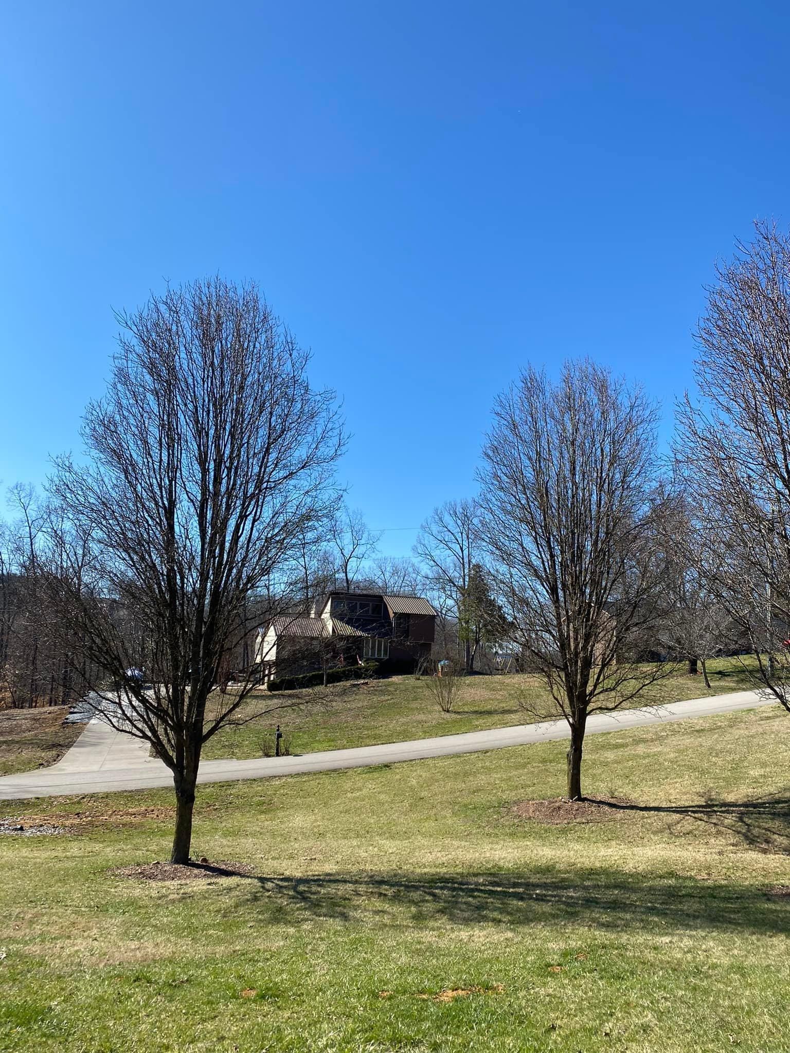 Tree Removal for Atwood’s Tree Care in Liberty,  KY