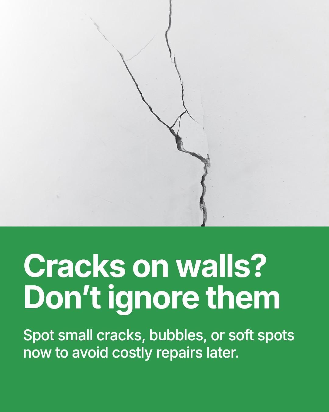  for Drake Mallard Inc. in Brooklyn Park, MN