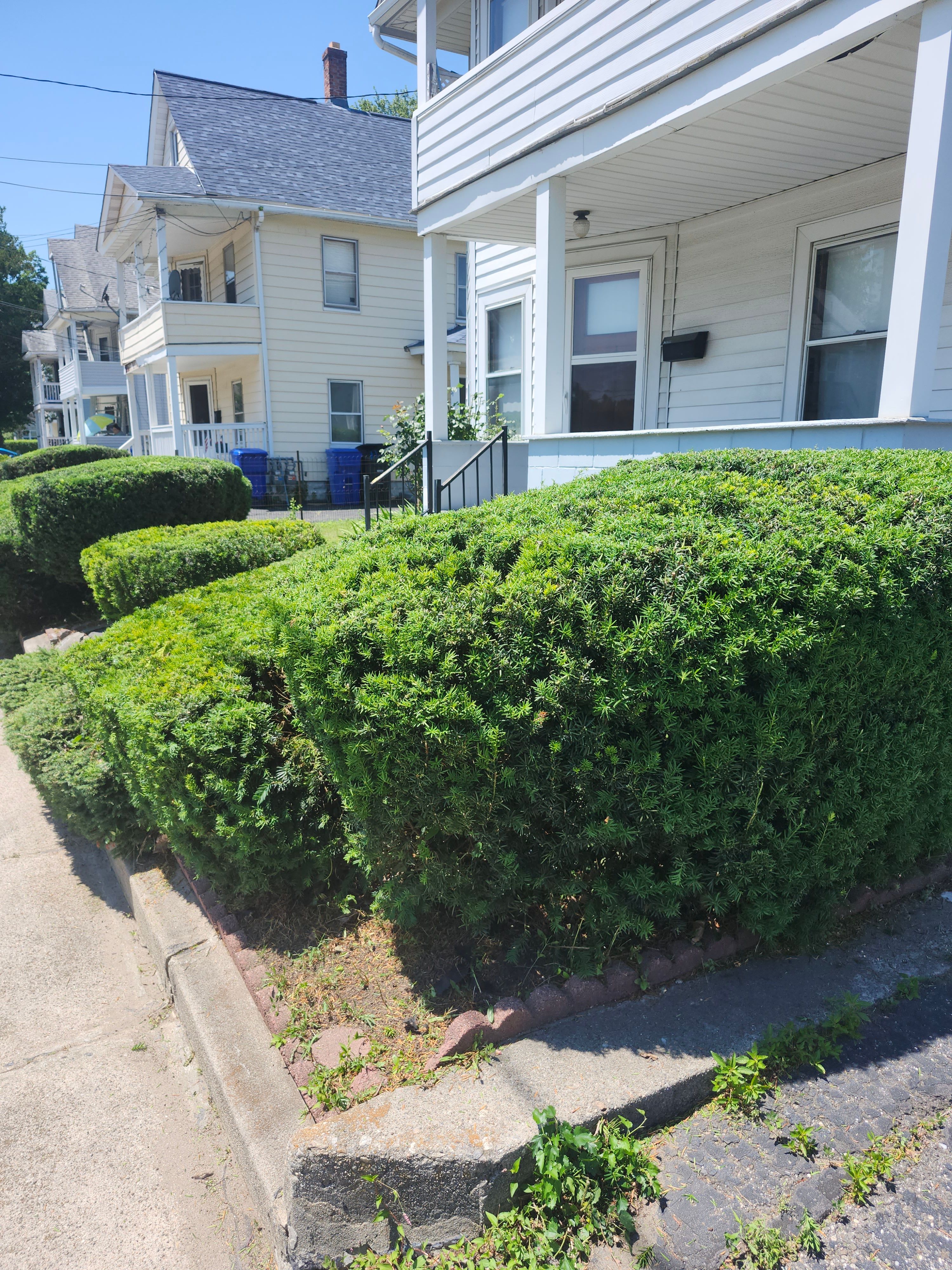 Hedge/Tree/Brush Cutting for Landscape Innovations LLC in Torrington, CT