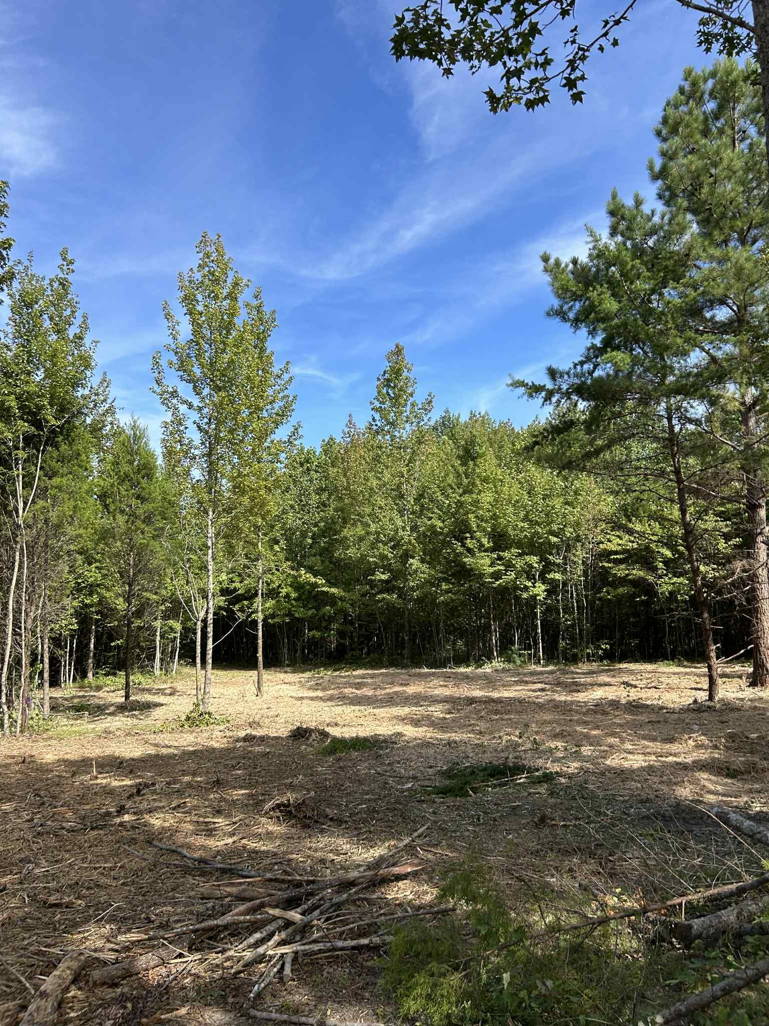  for Z's Land Management & Forestry Mulching in Smithville, TN