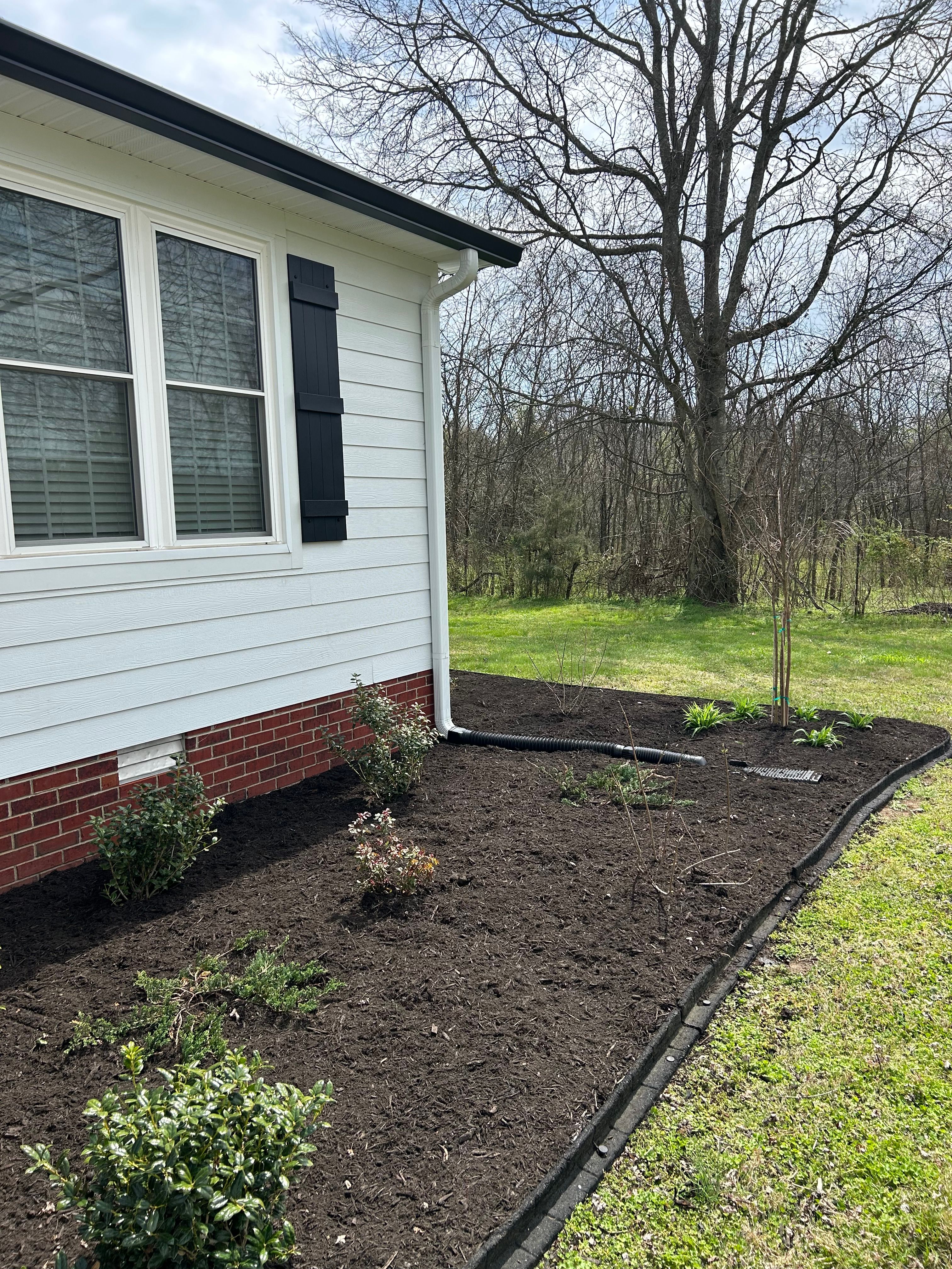 All Photos for MLC in Murfreesboro, TN