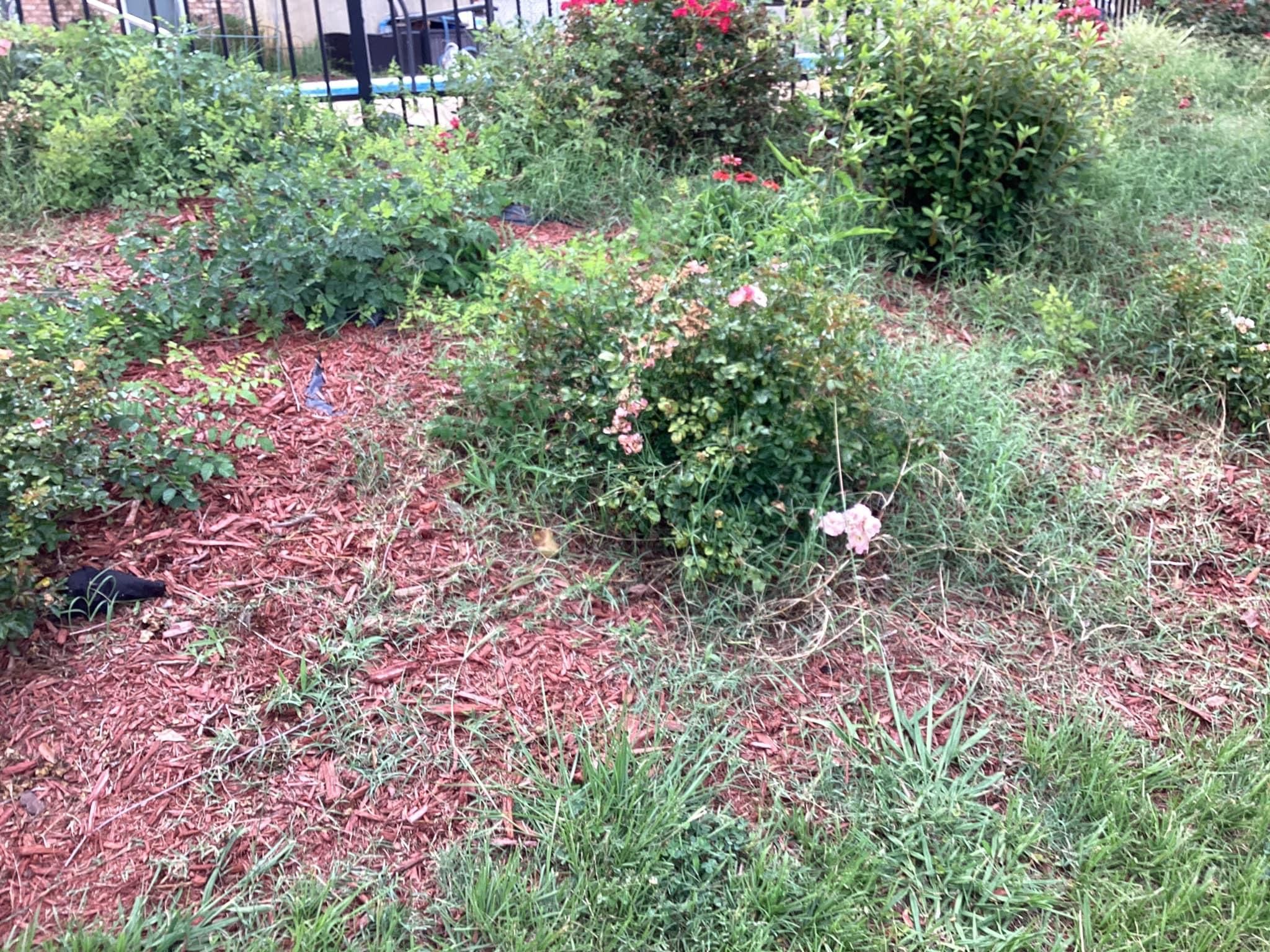  for Xtreme Landscaping & Lawn Care in Lincoln, AL