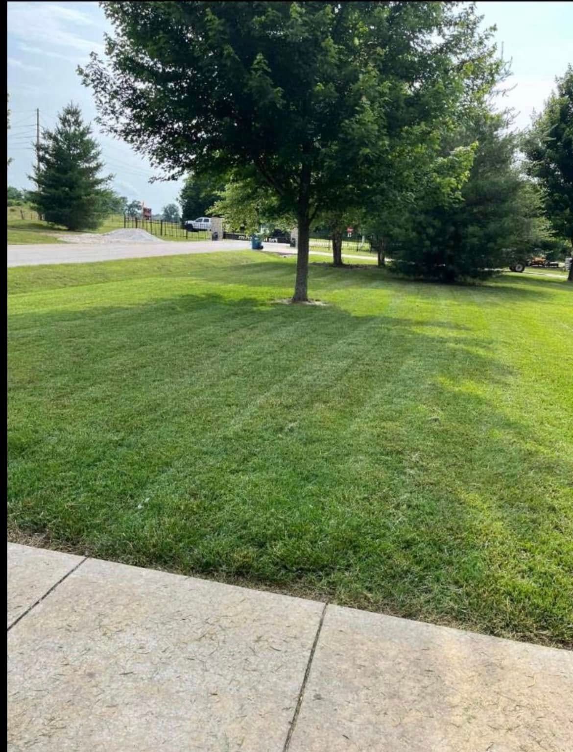 Lawn Care for Wright Lawn Services in Ozark, MO