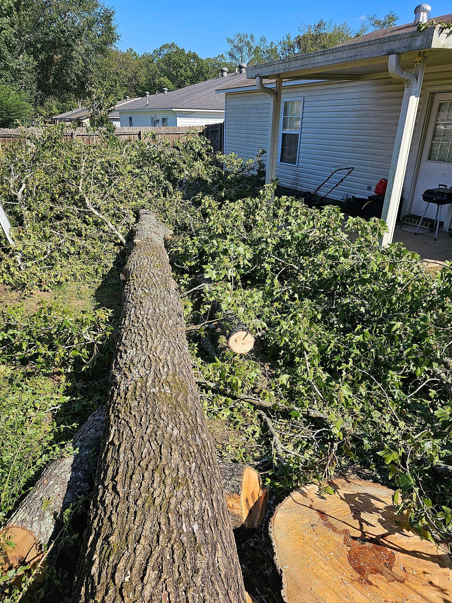  for Millers Tree Service in Saline County, AR